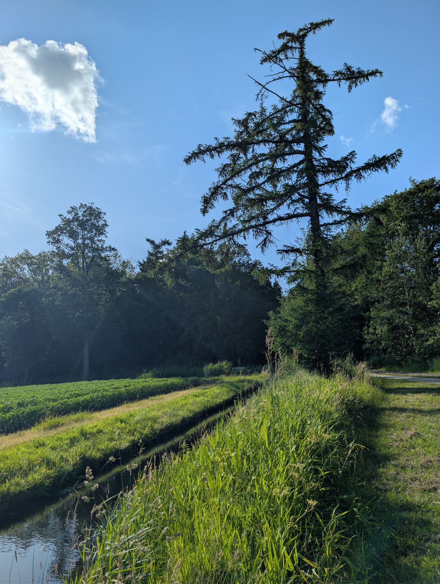 Noordoostpolder Wandelen