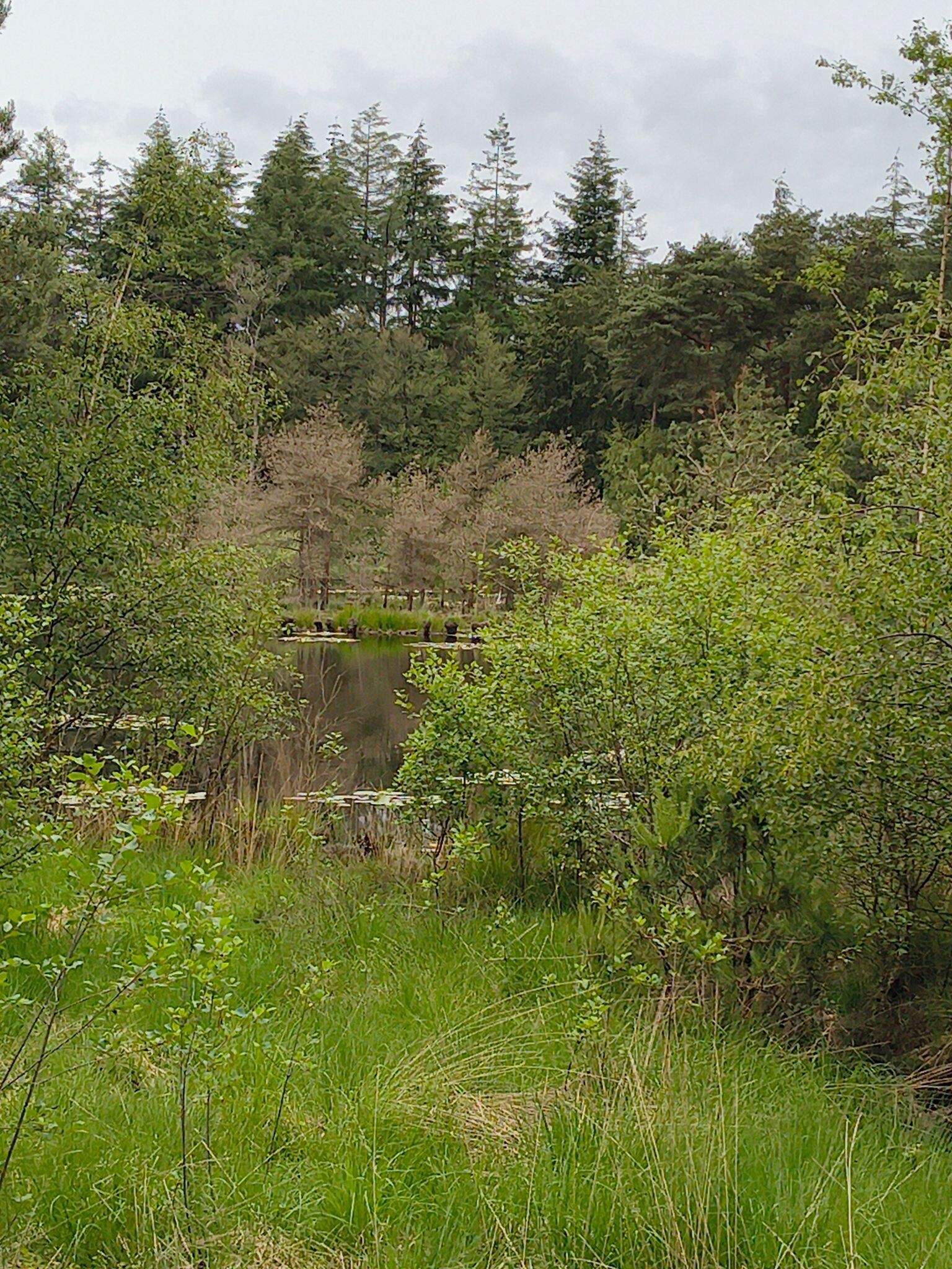 Wandelroute Lammervennen