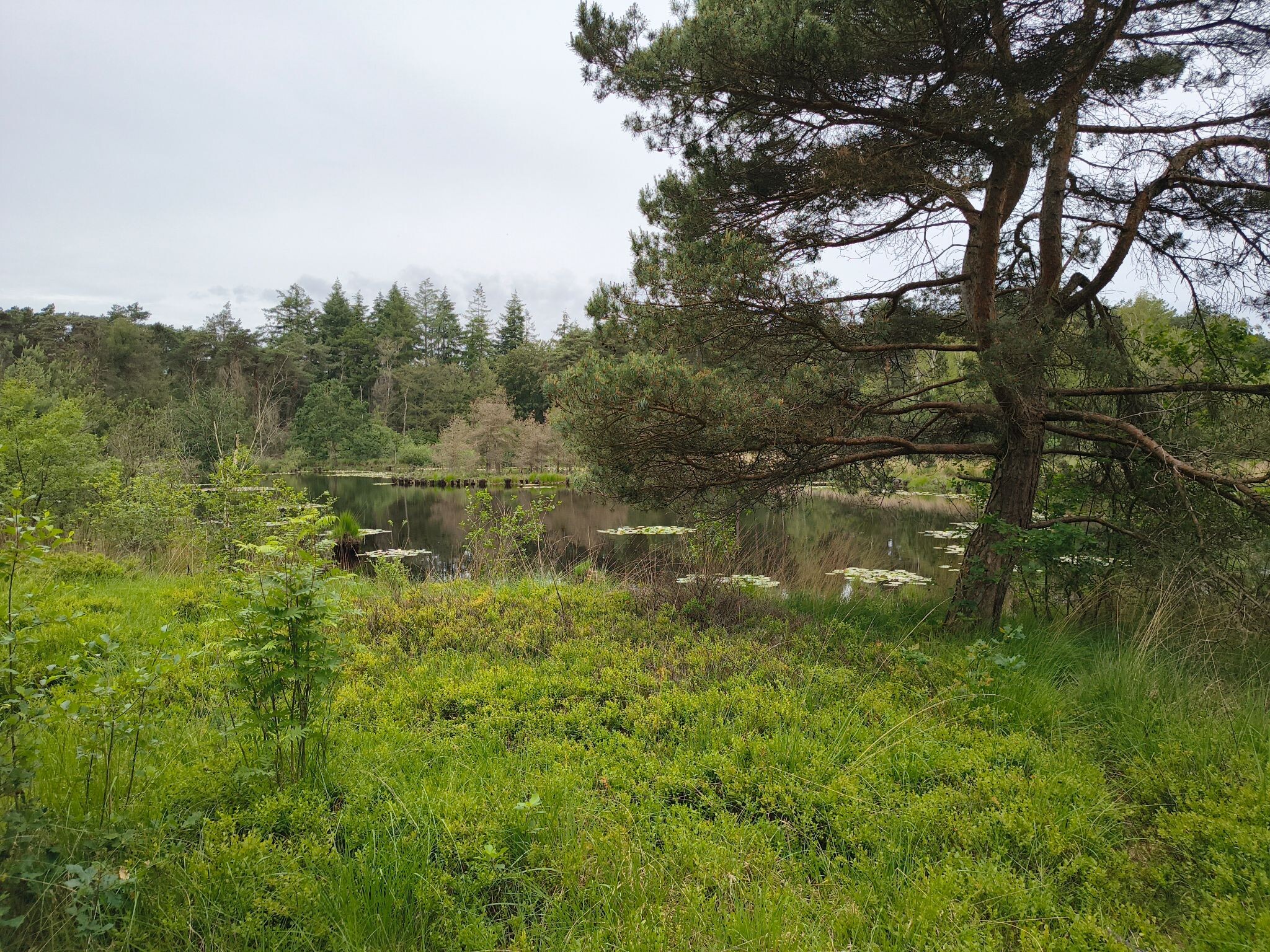 Wandelroute Lammervennen