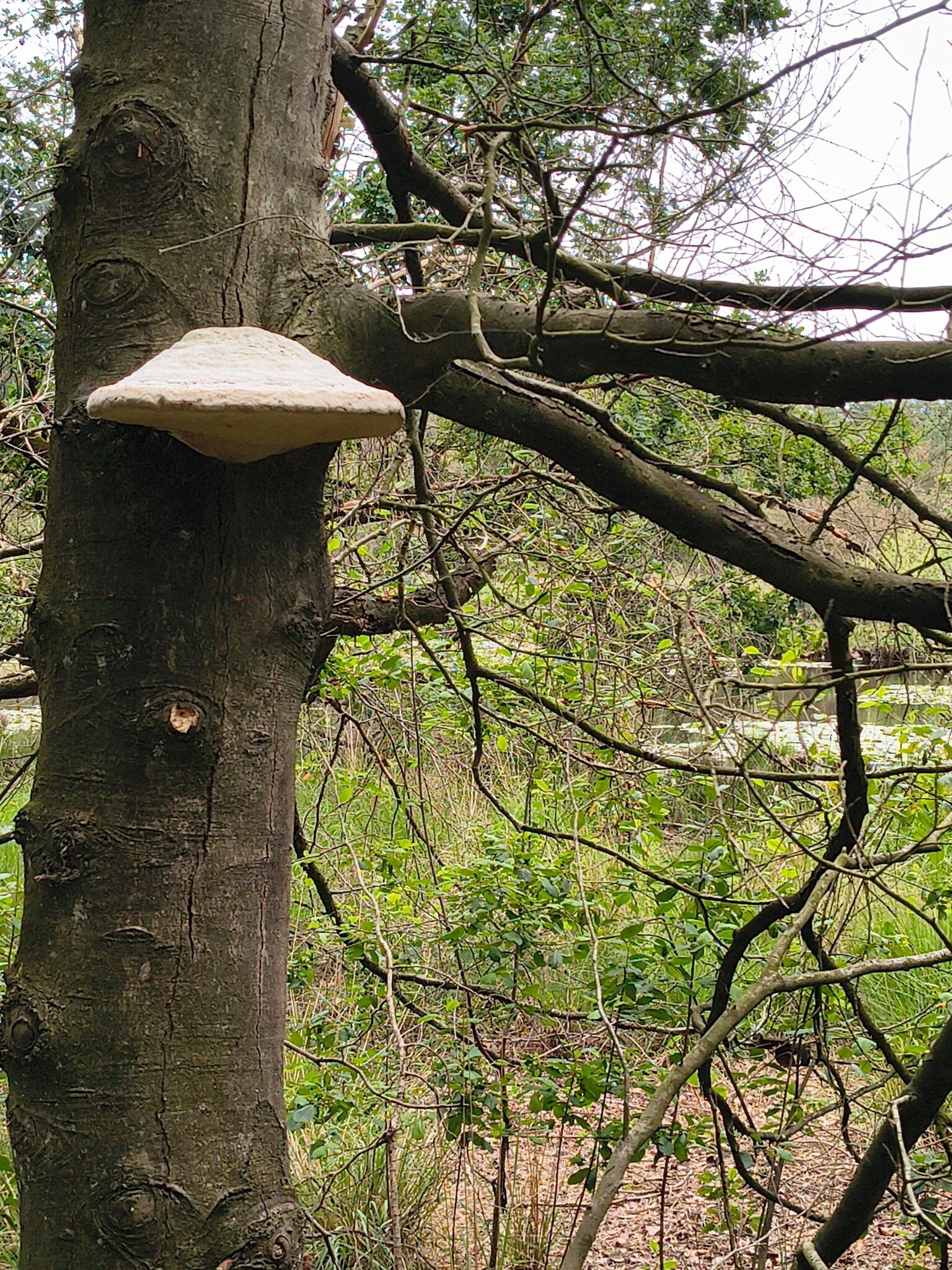Wandelroute Lammervennen