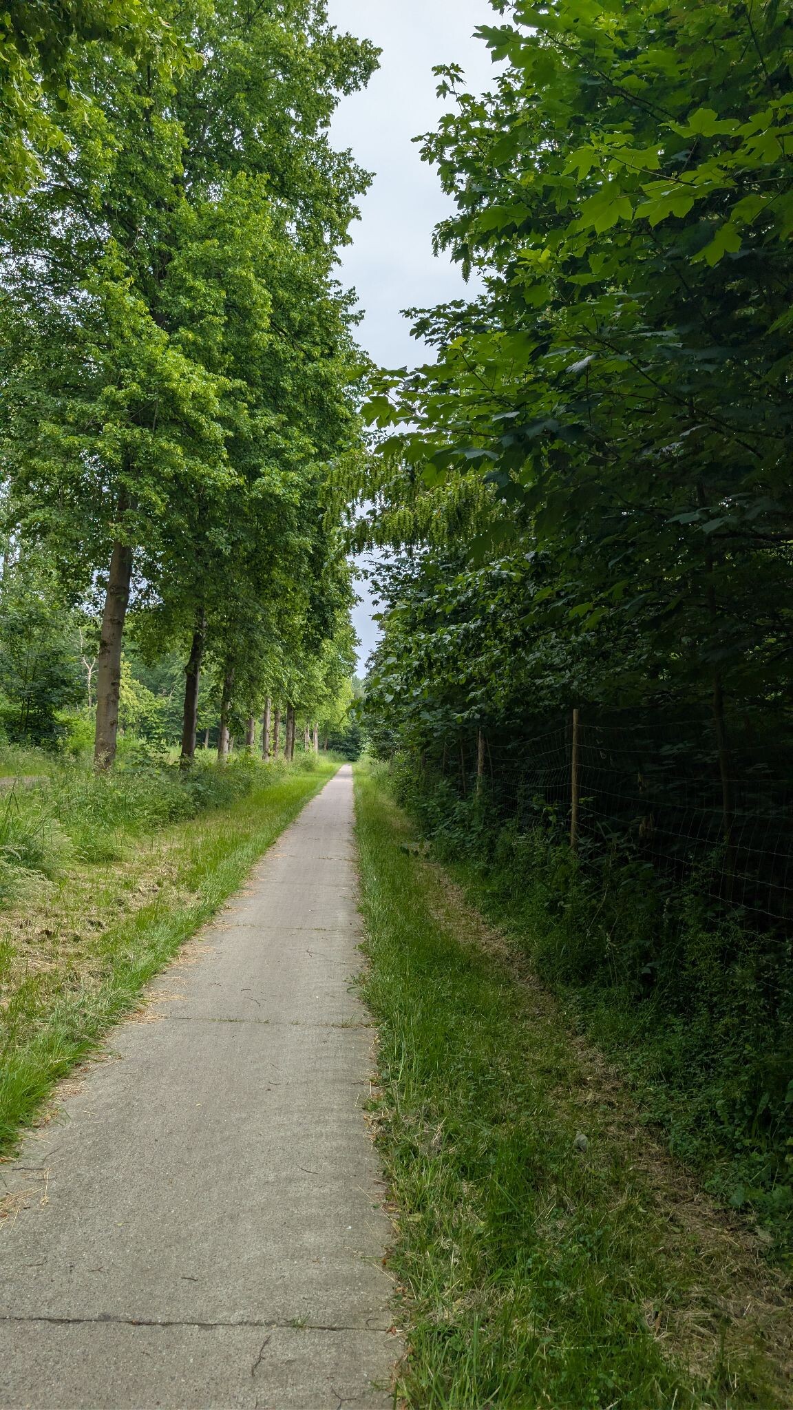Foto van opname