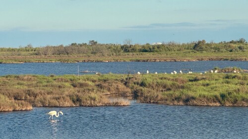 Rondje van 17km vanaf camping Les Flamants Roses