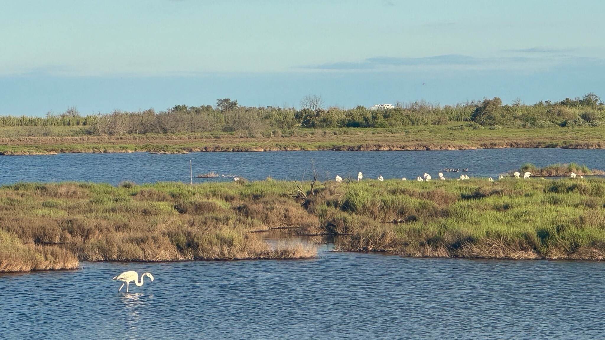 Rondje van 17km vanaf camping Les Flamants Roses