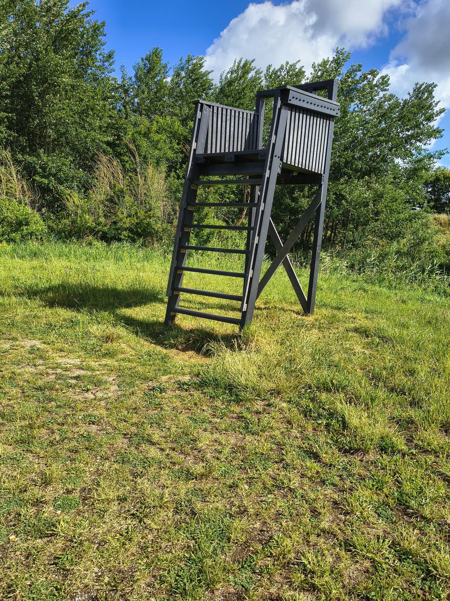 Boswachterspad Veerse Bos 