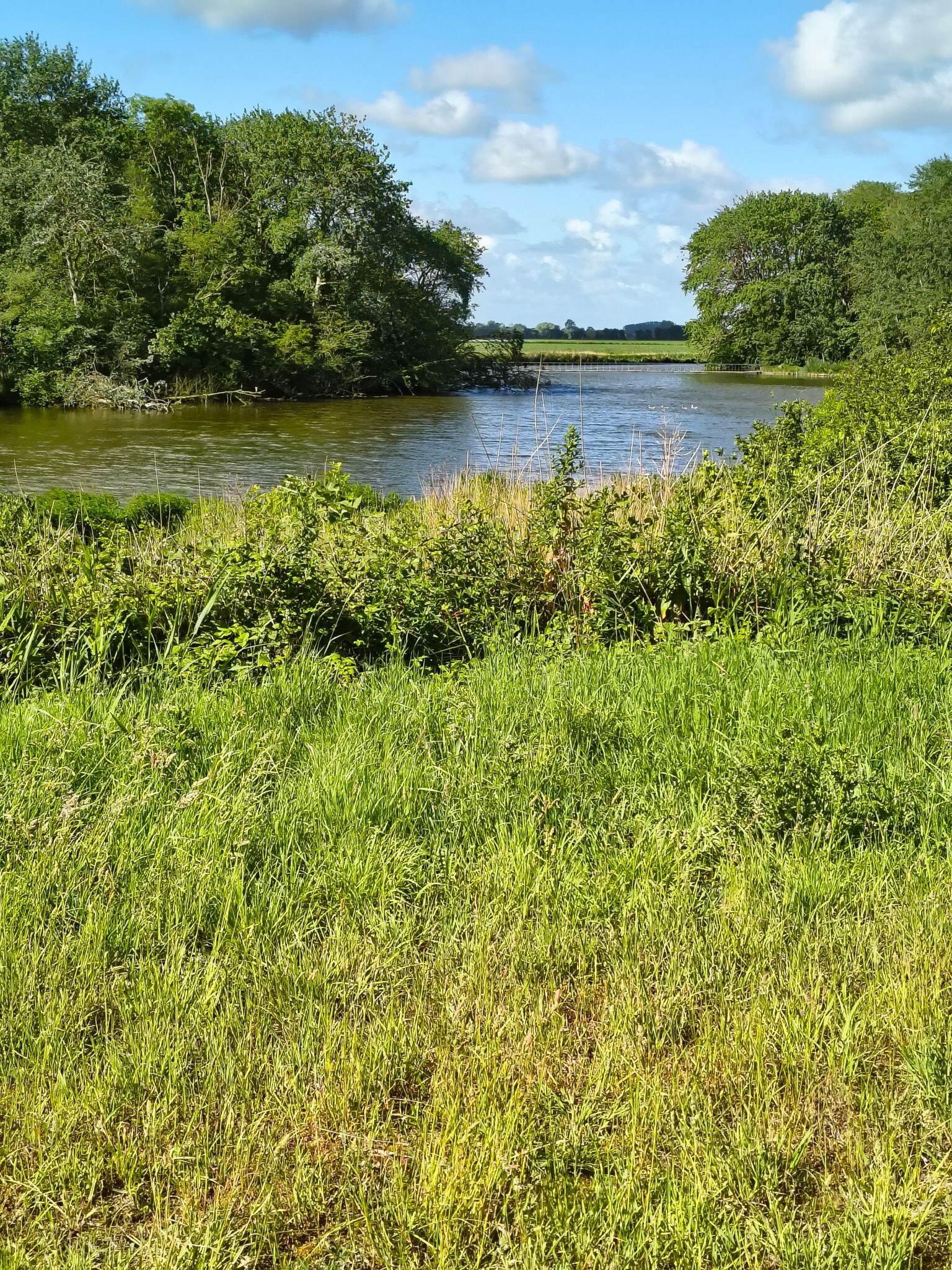 Boswachterspad Veerse Bos 