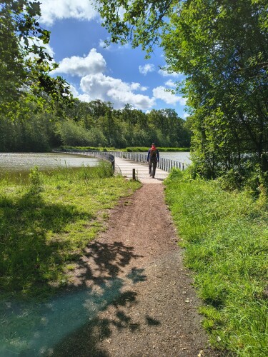 Boswachterspad Veerse Bos 