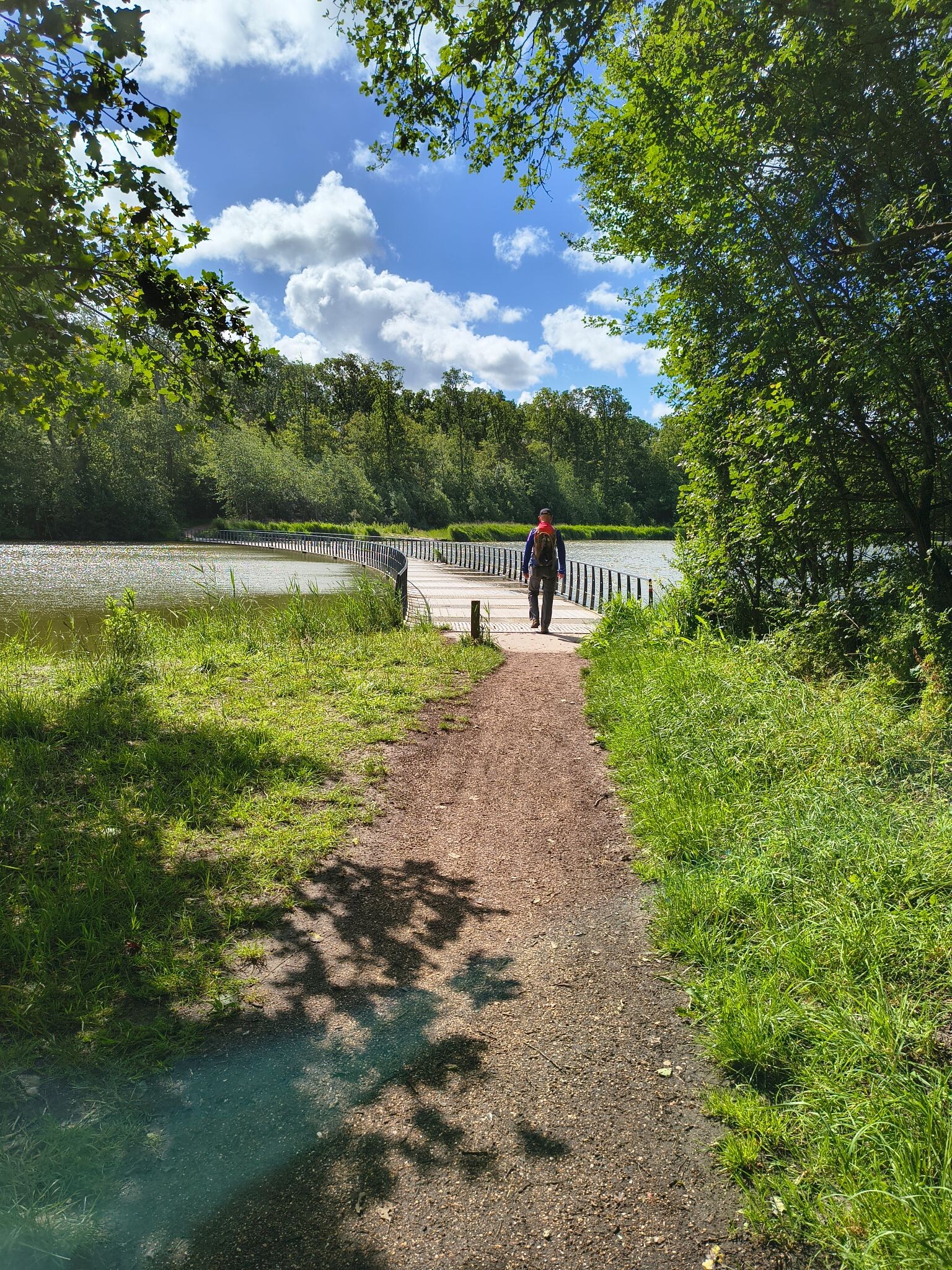 Boswachterspad Veerse Bos 