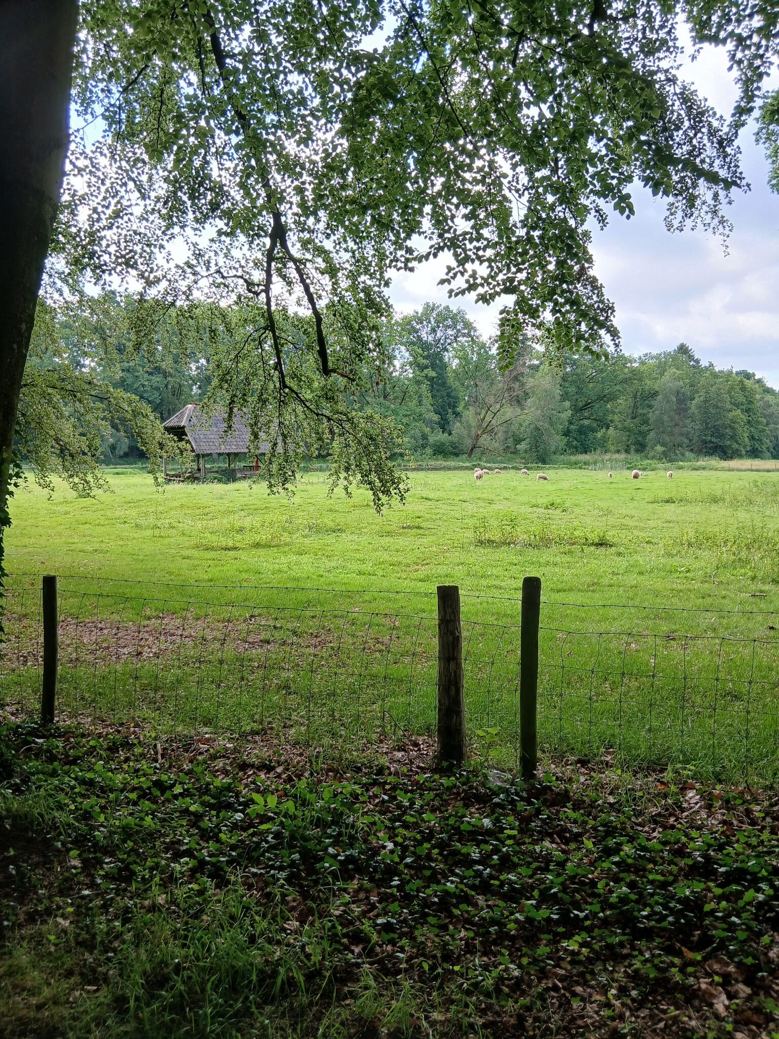 Rondje venray en geijsteren
