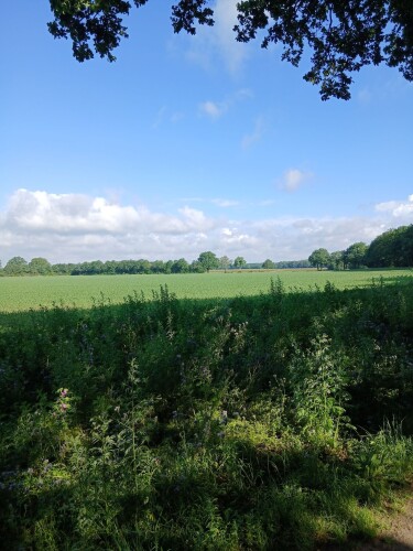 Rondje venray en geijsteren