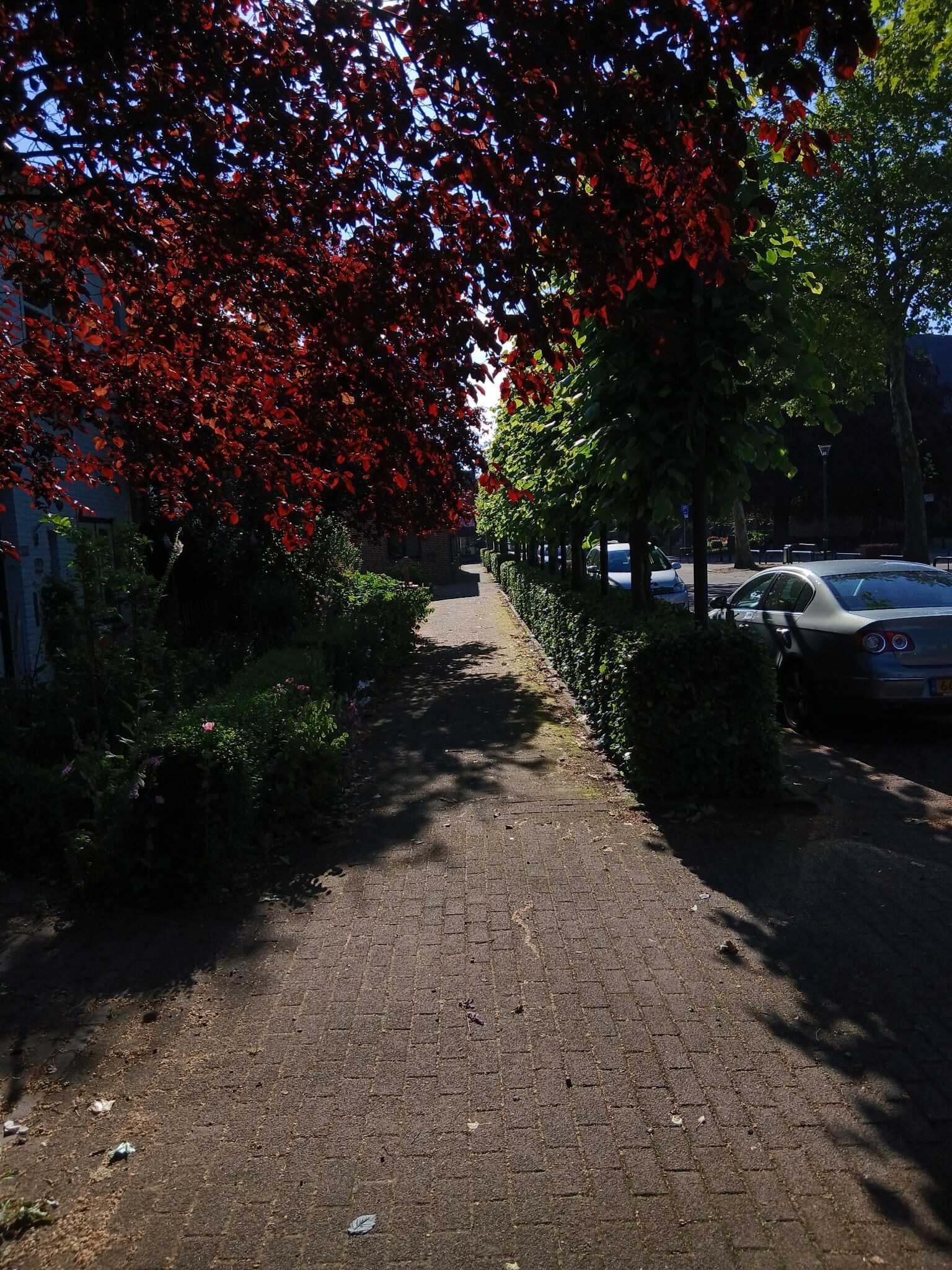 Rondje venray en geijsteren