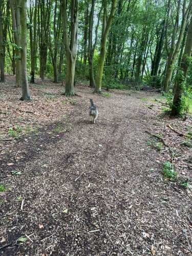 kosmonaut wandeling