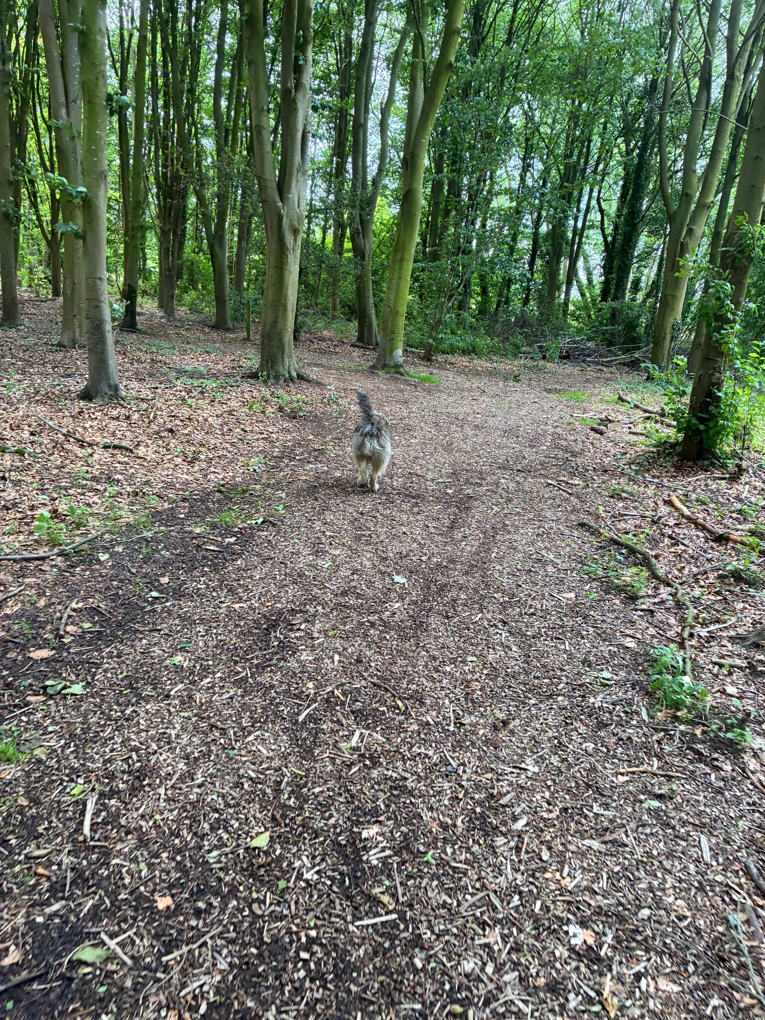kosmonaut wandeling