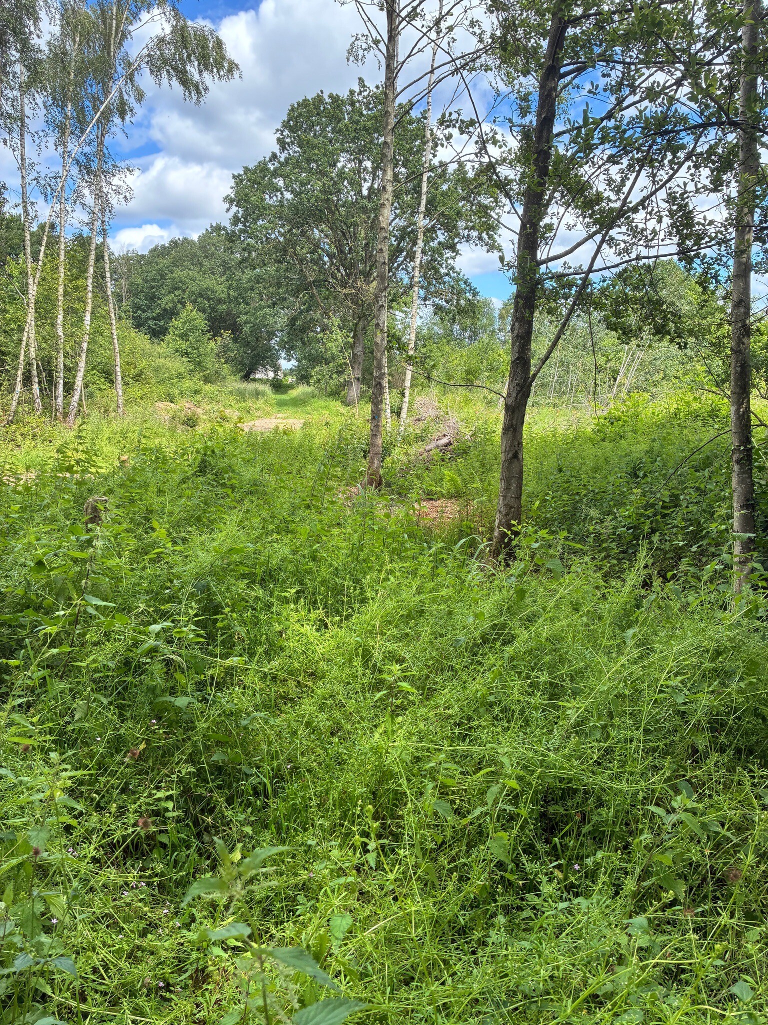 kosmonaut wandeling