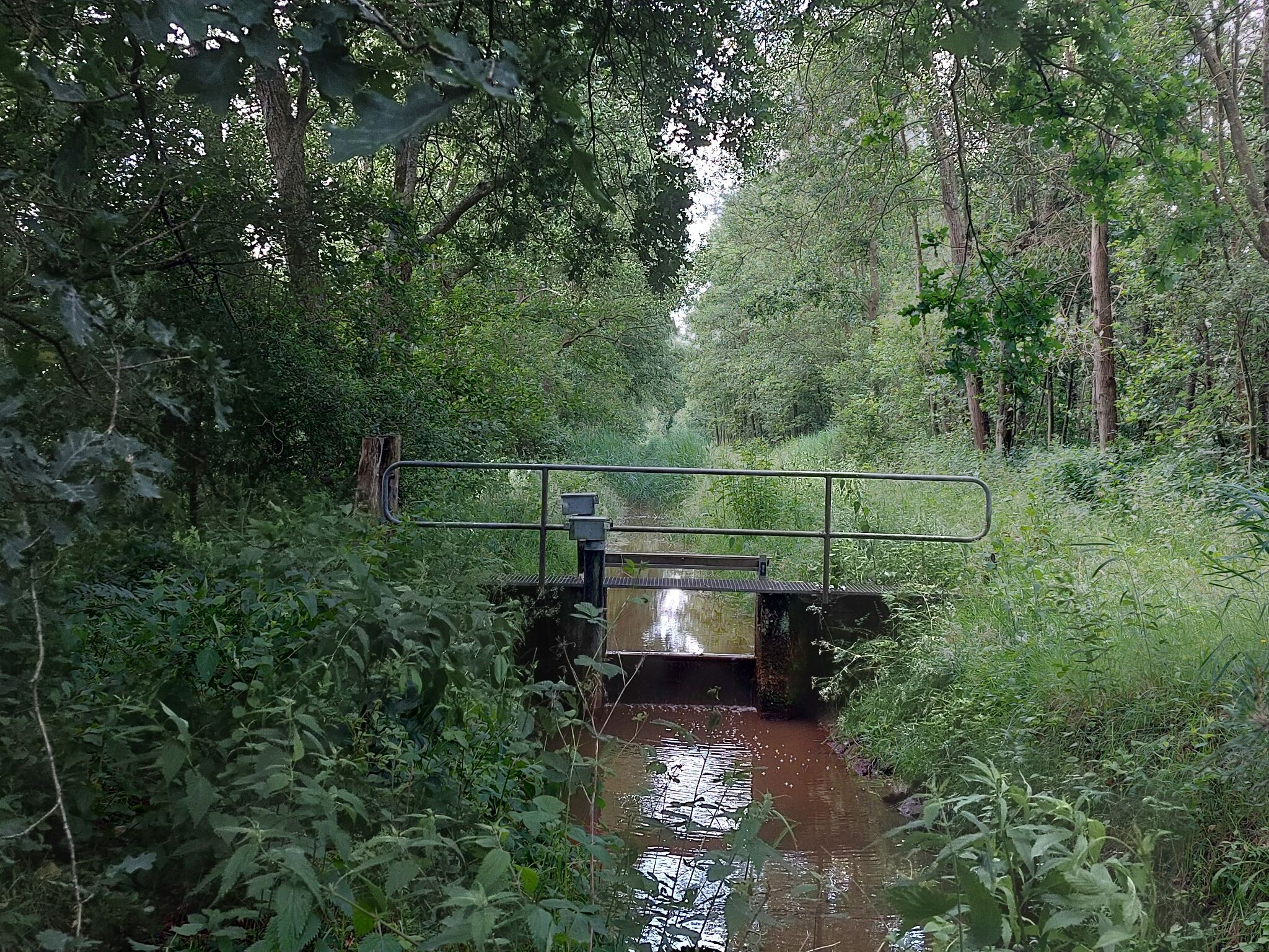 Luyksgestel naar Reusel - "Halfweg" · NederRandpad etappe 42