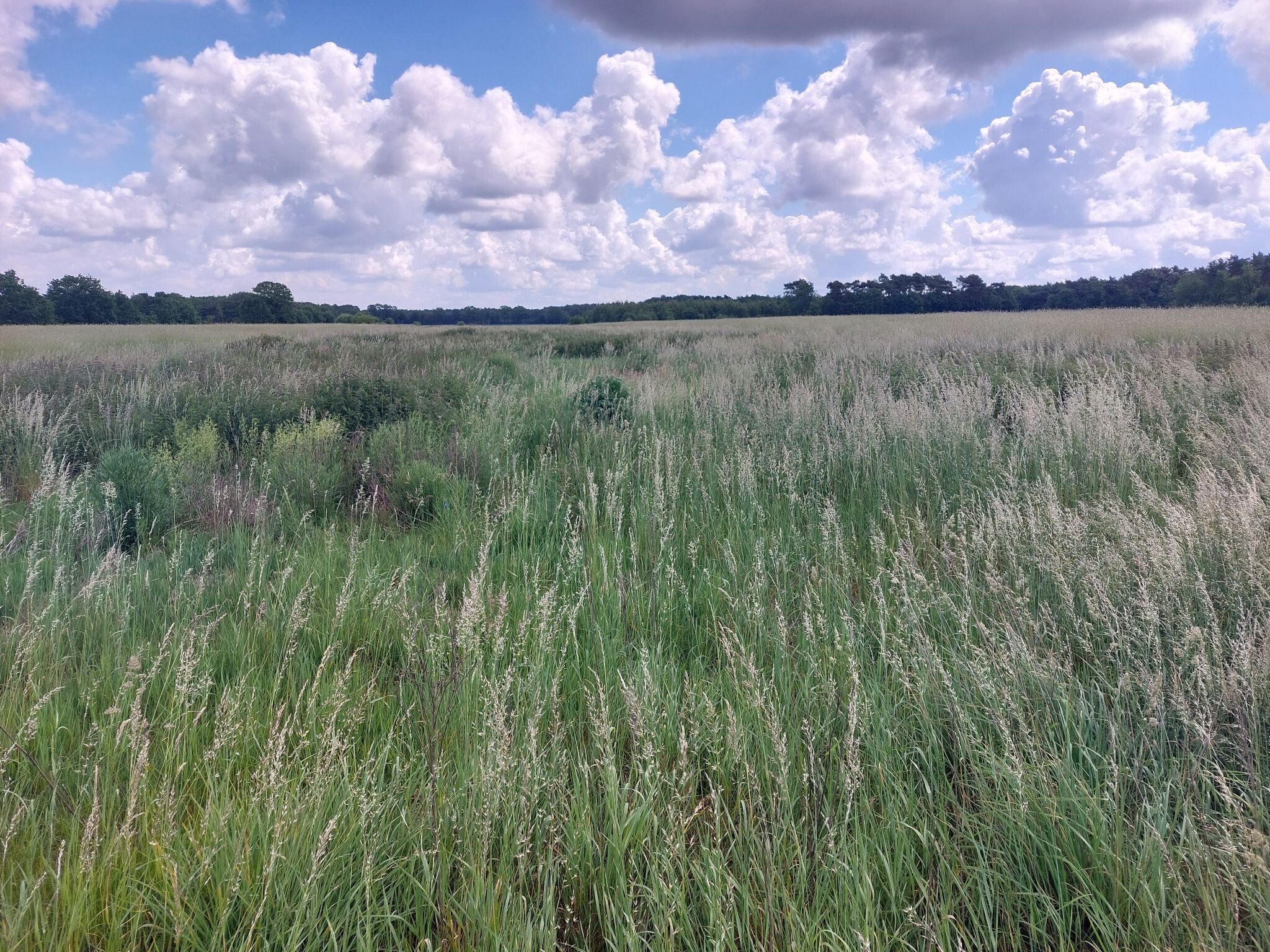 Grenspark wandeling.