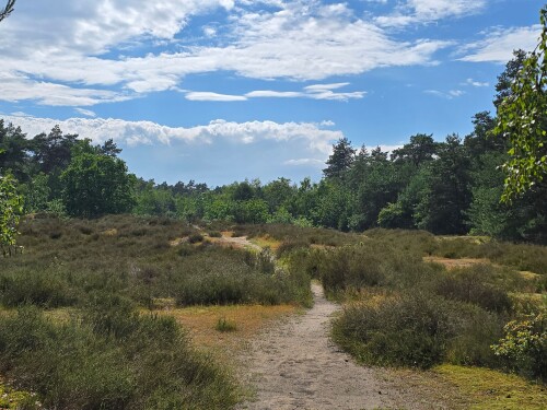 Land van Cuijkpad etappe 2