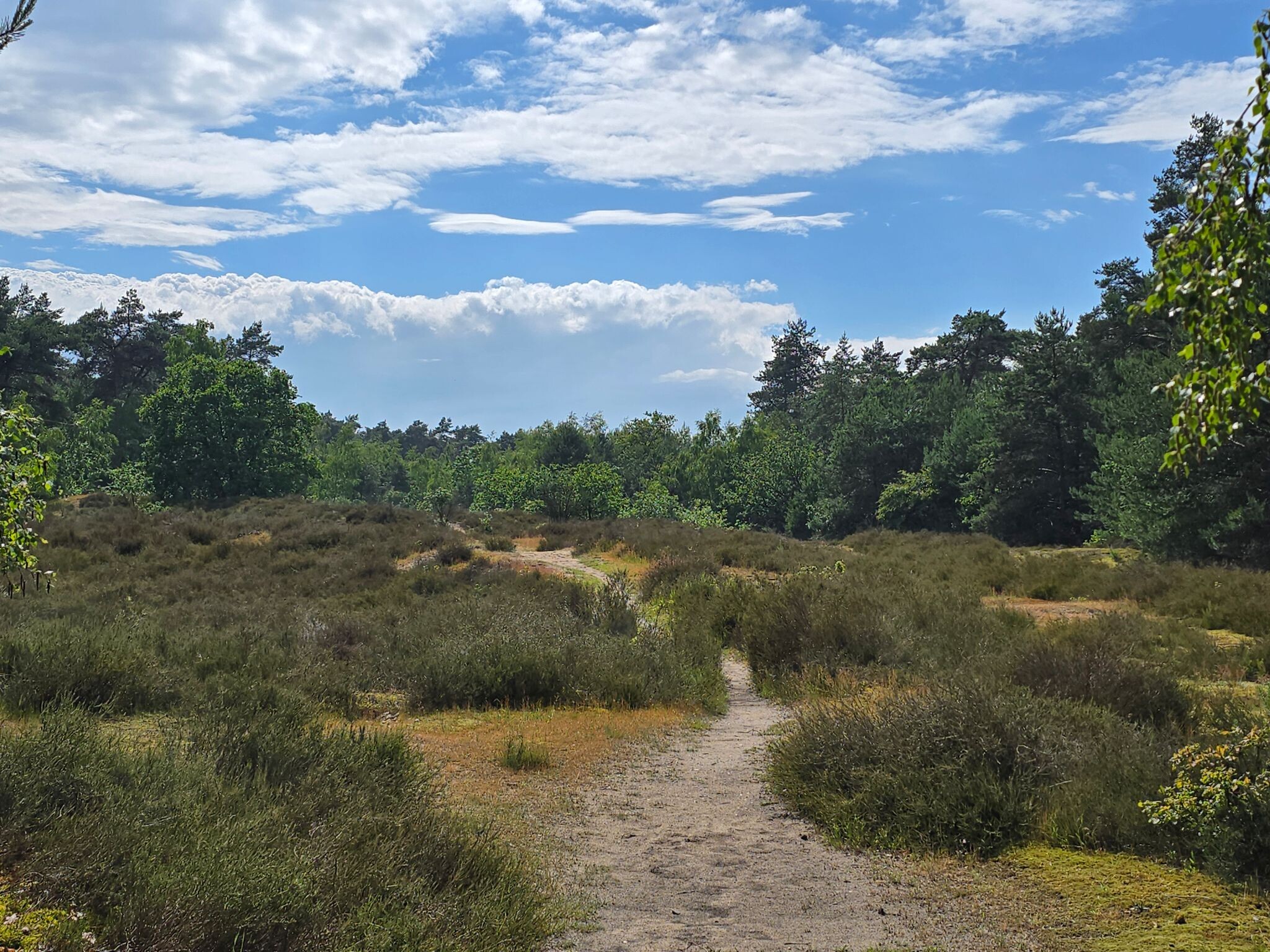 Land van Cuijkpad etappe 2
