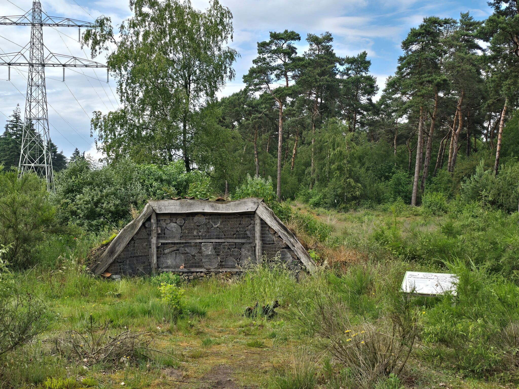 Land van Cuijkpad etappe 2