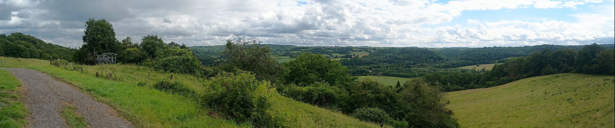 Warnant