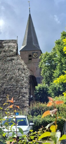 Diever Ommetje Midzomernachtdroom