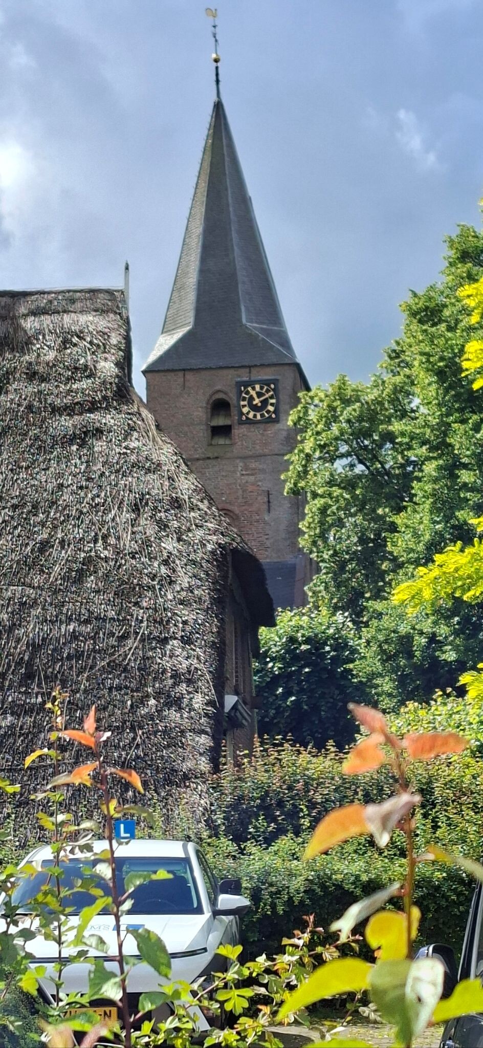 Diever Ommetje Midzomernachtdroom