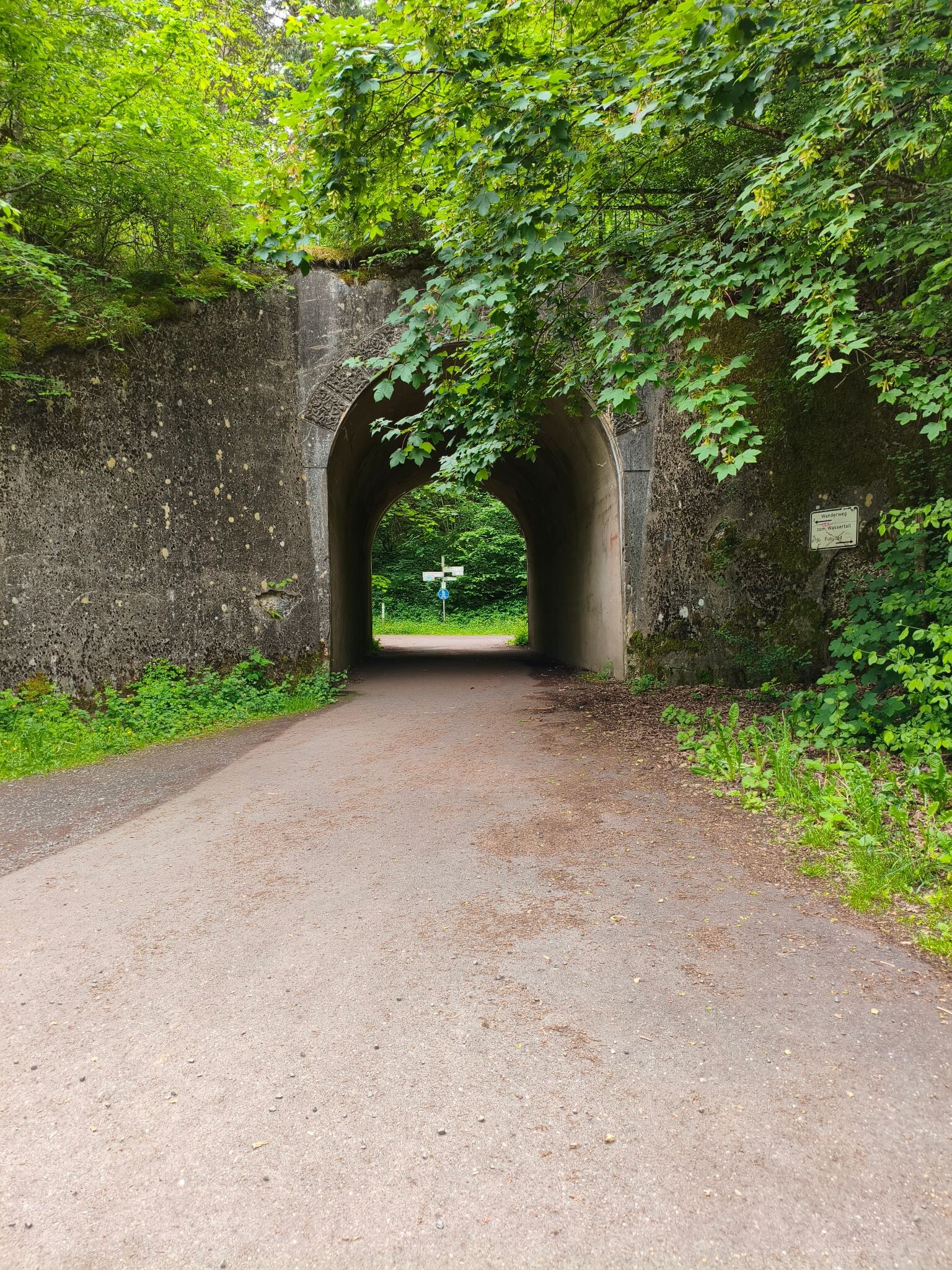 Natur- und Geopark Vulkaneifel