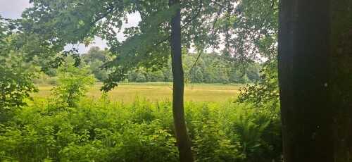 NS-Wandeling Belmonte