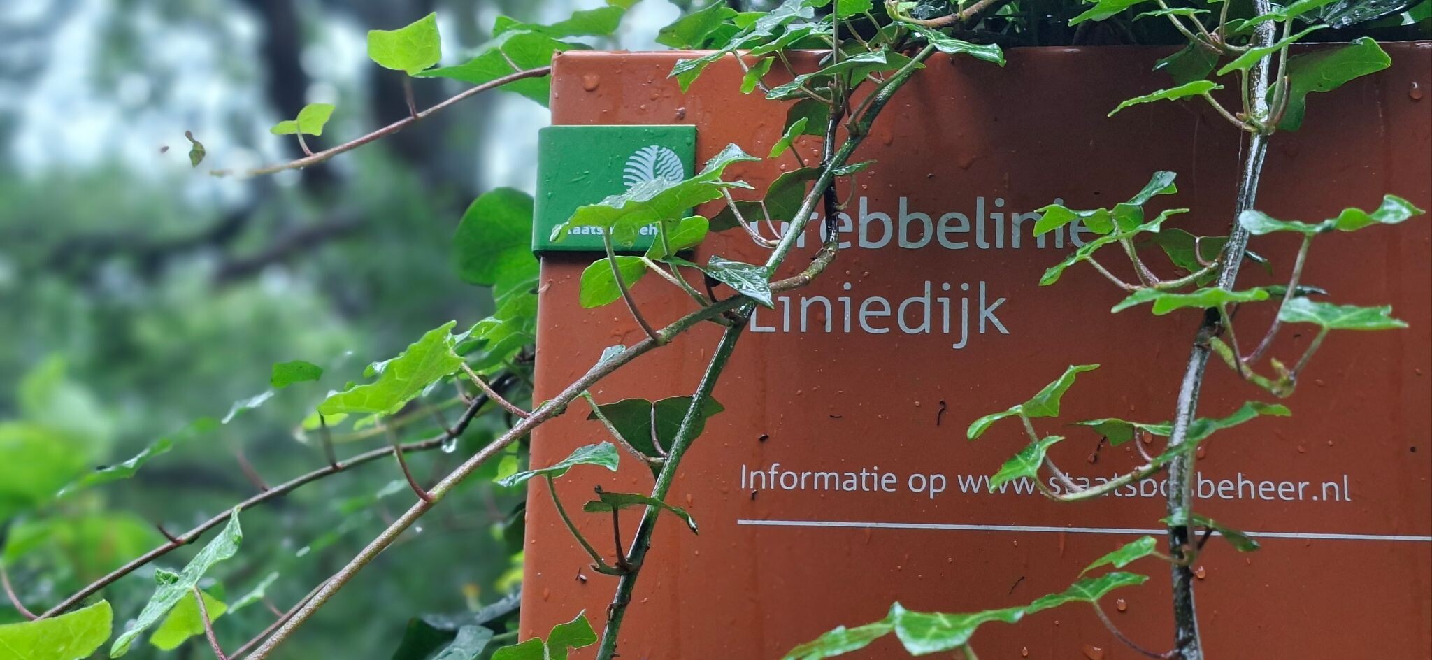 Scherpenzeel- De Groep- Overberg