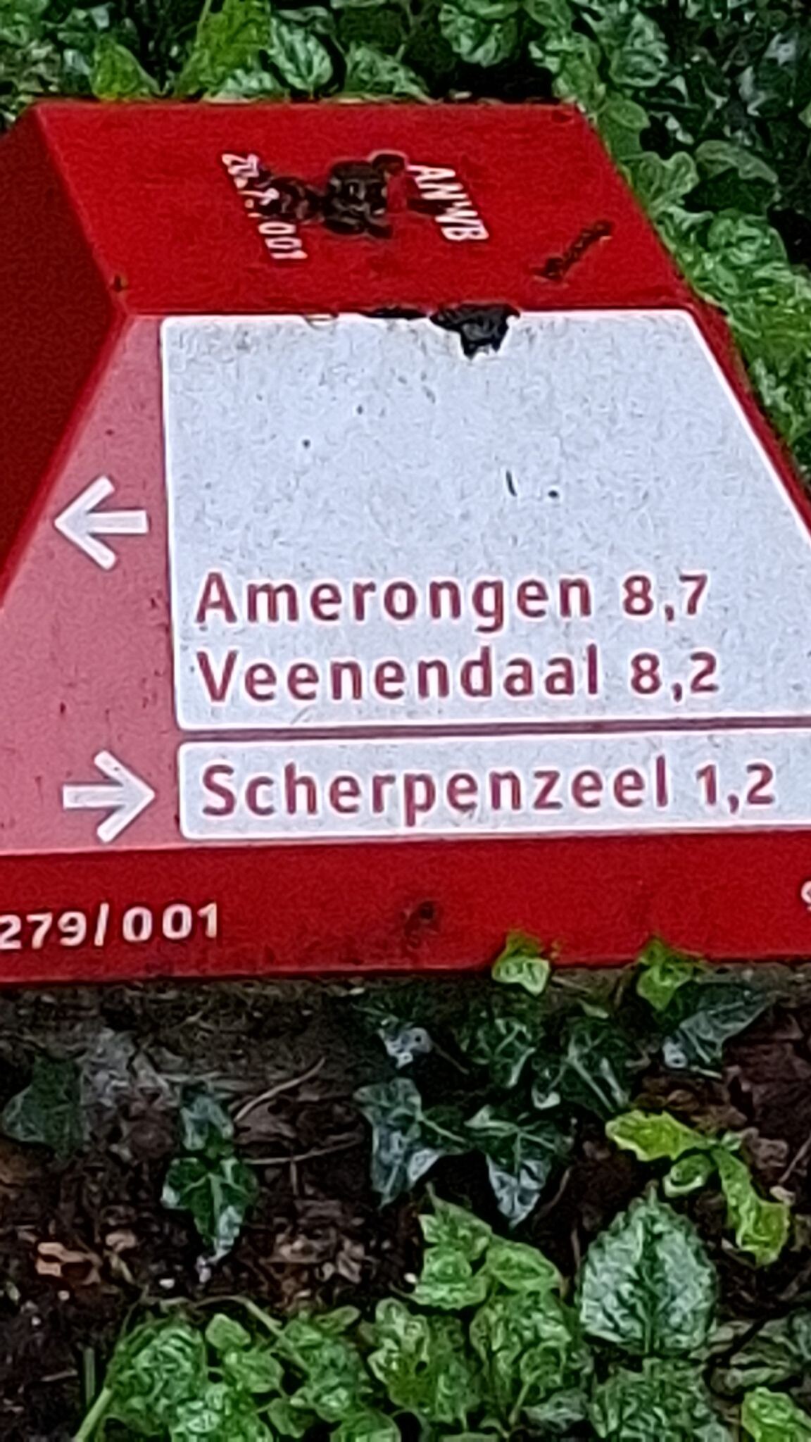 Scherpenzeel- De Groep- Overberg