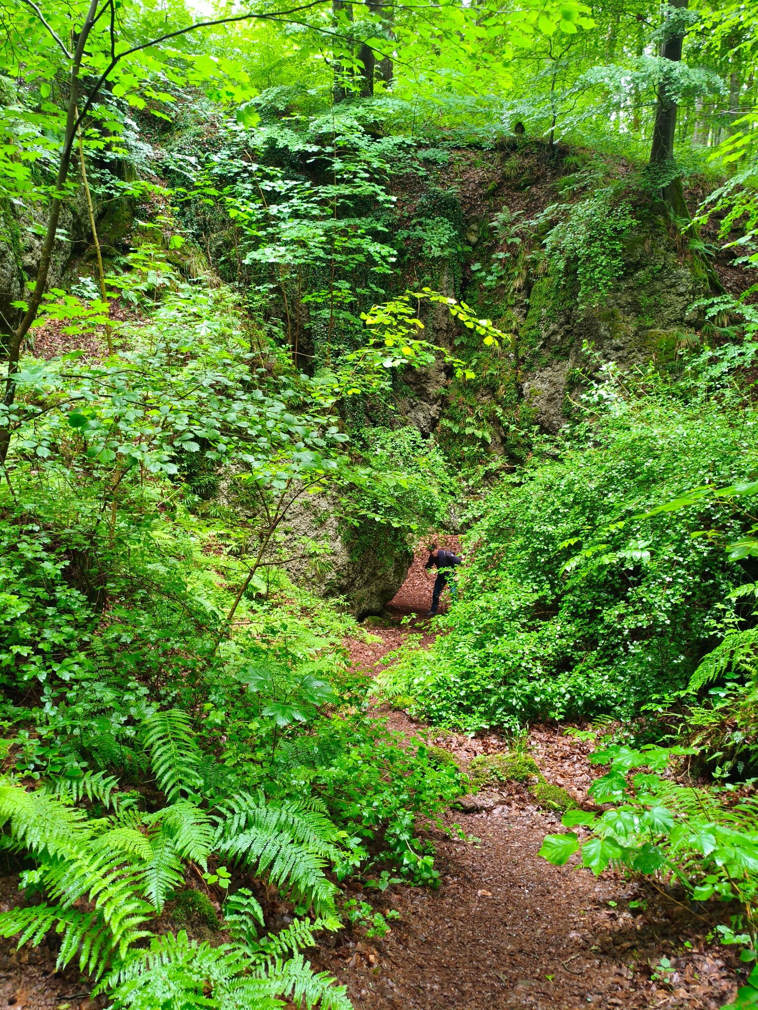 Natur- und Geopark Vulkaneifel