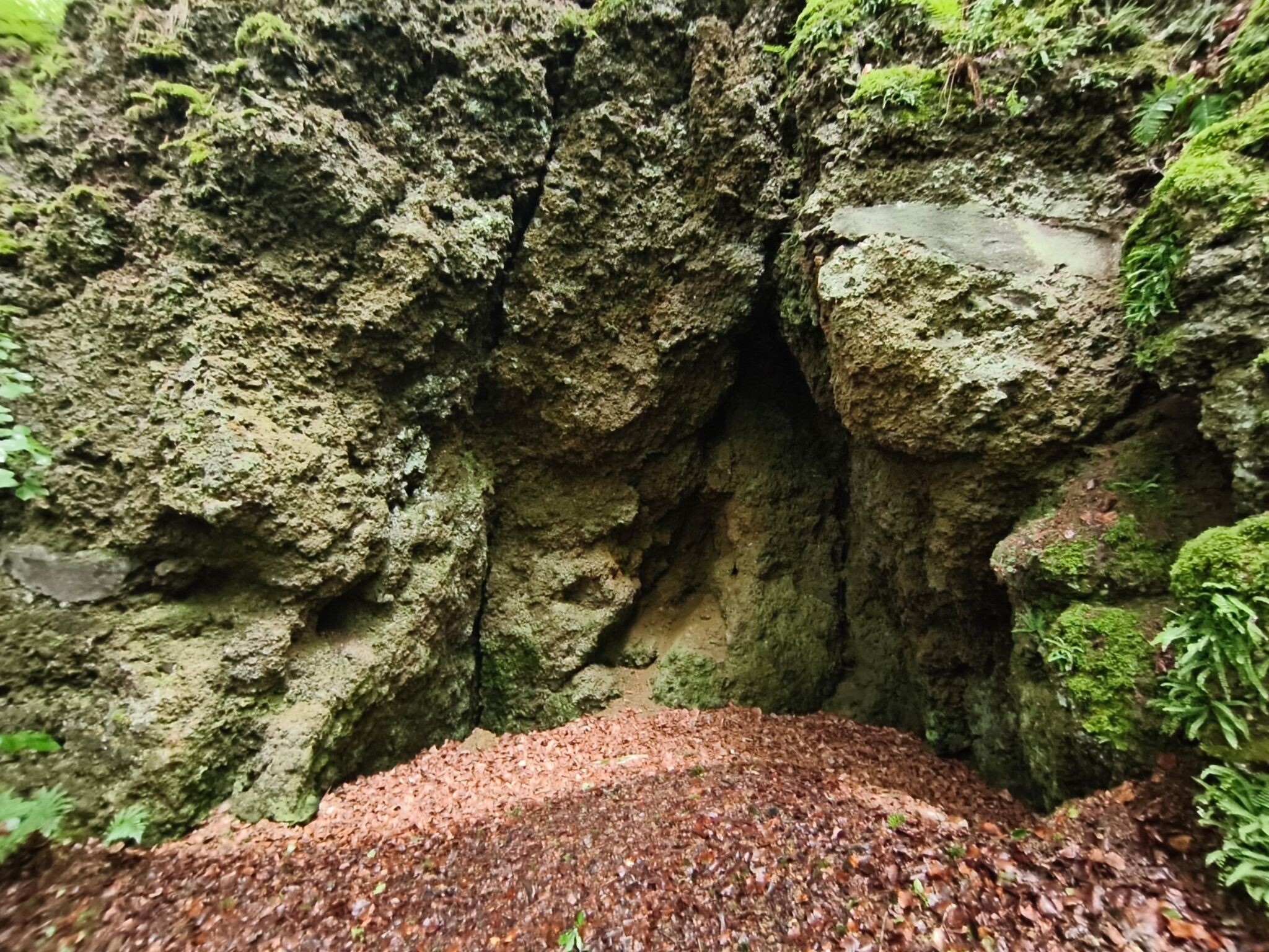 Natur- und Geopark Vulkaneifel