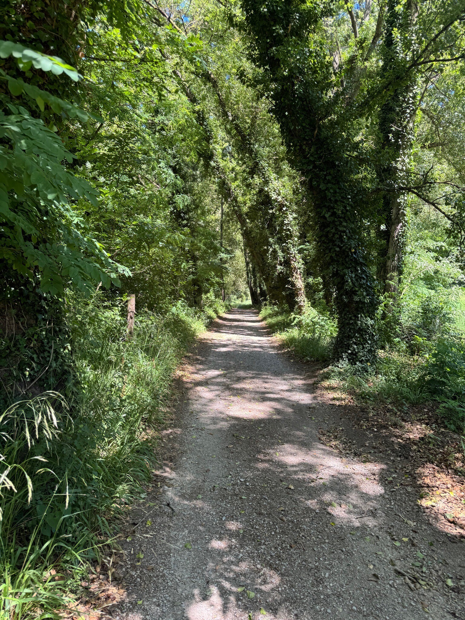 Rondje langs de rivier Dourbie tot aan Massebiau