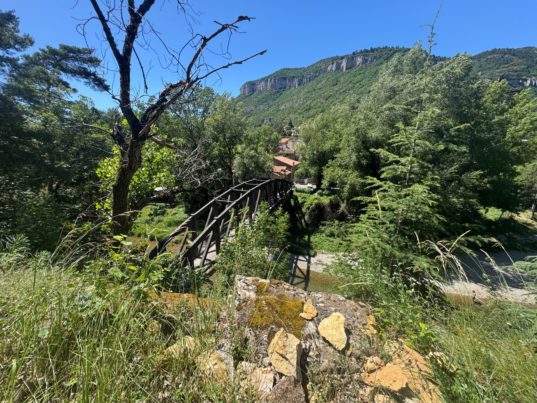 Parc naturel régional des Grands Causses