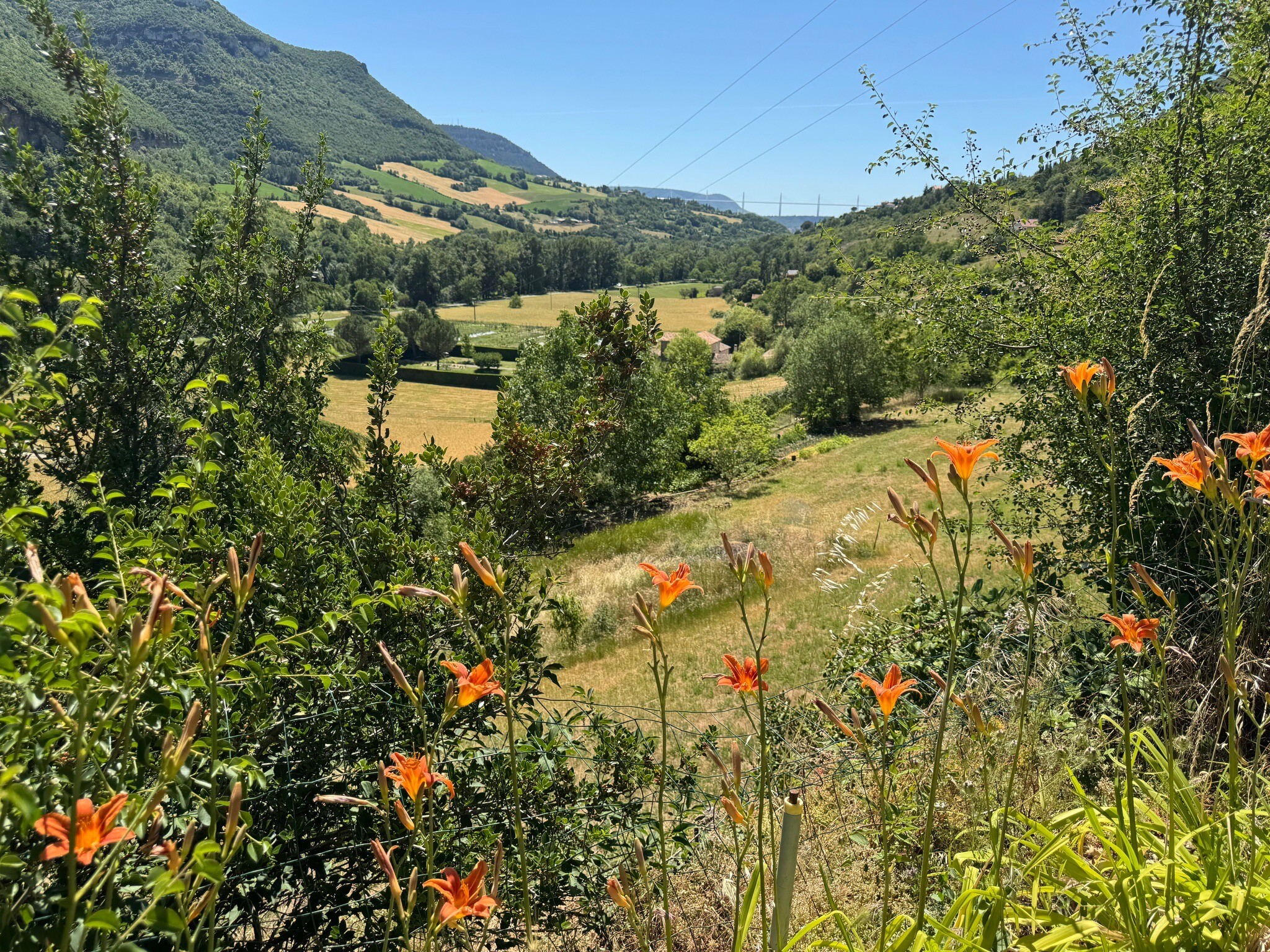 Parc naturel régional des Grands Causses