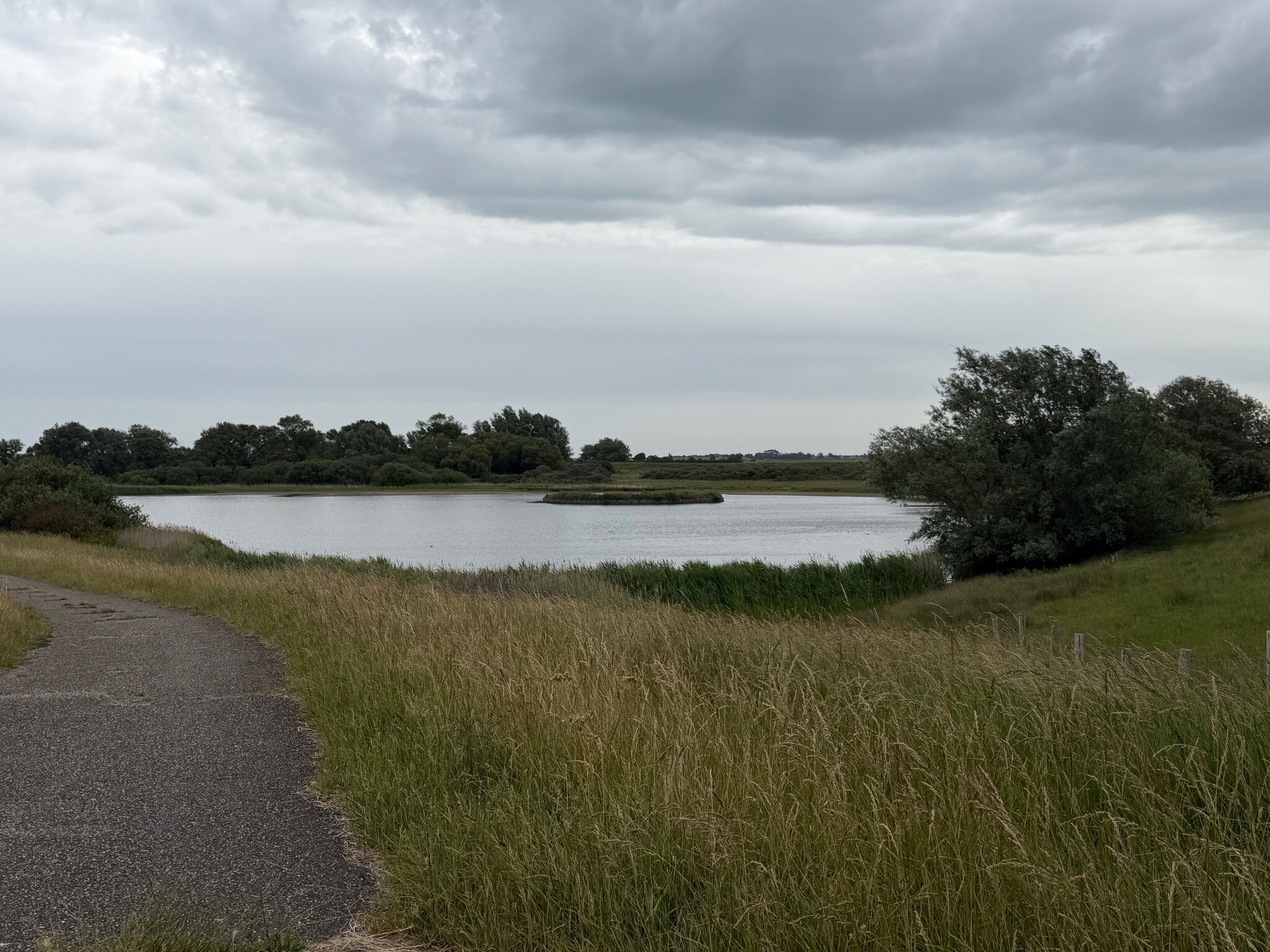 Oosterscheldepad