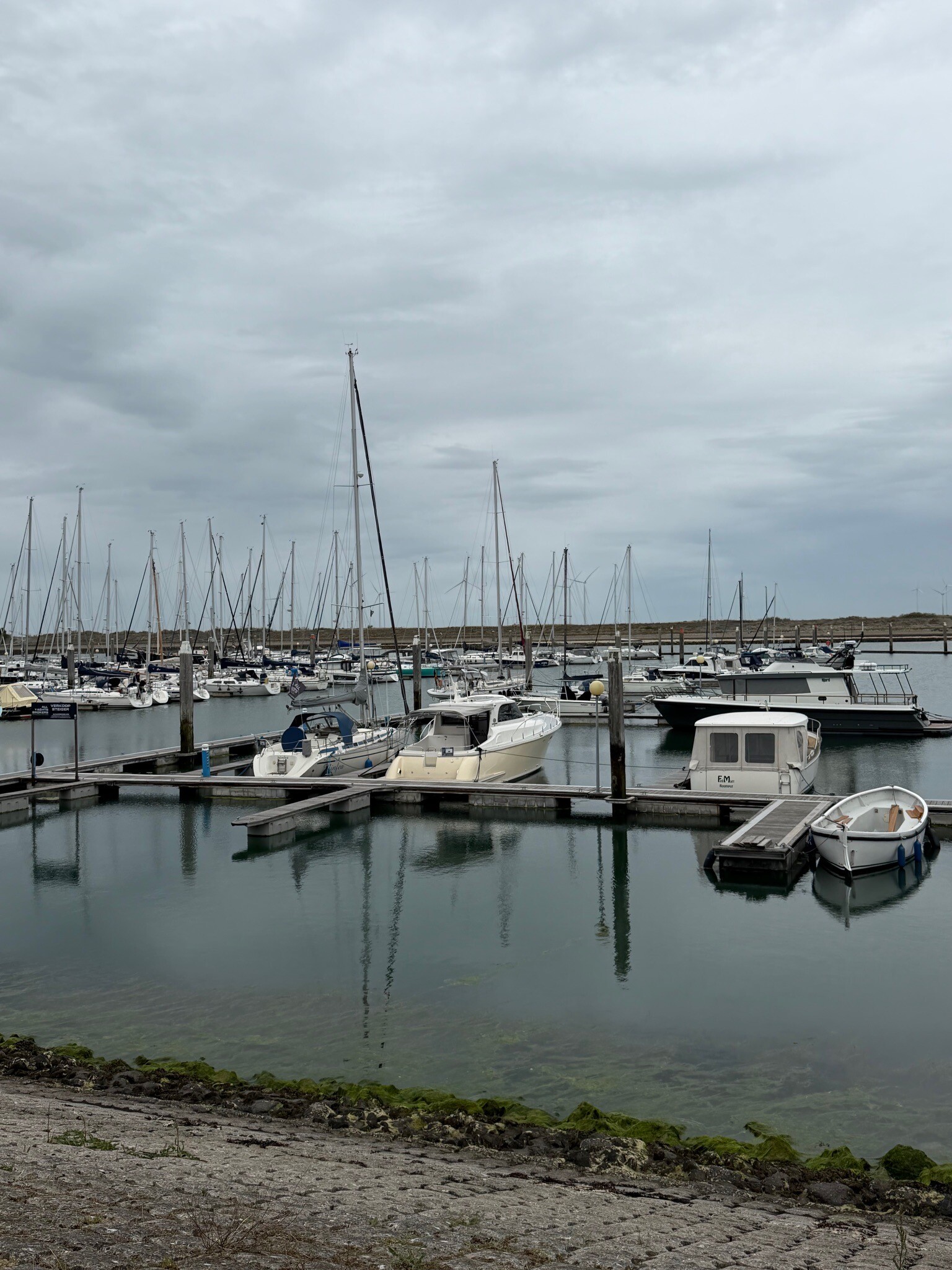 Oosterscheldepad