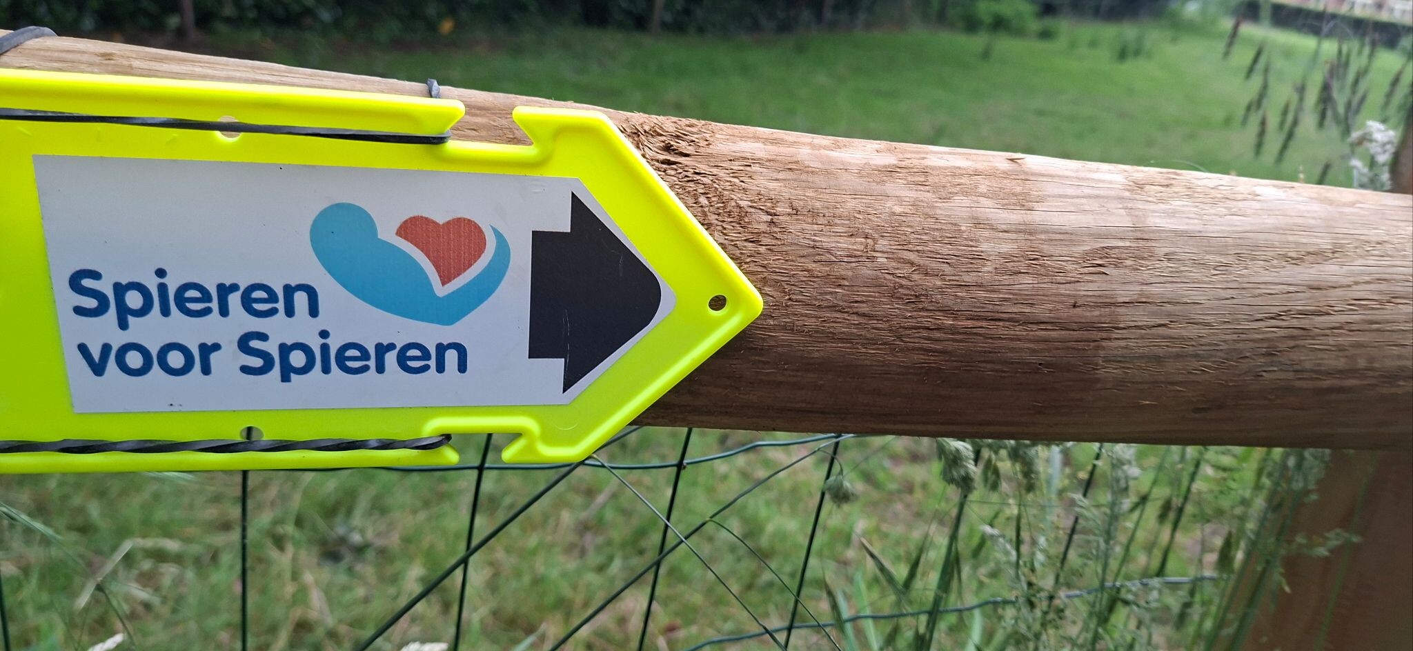 Spieren aan de wandel