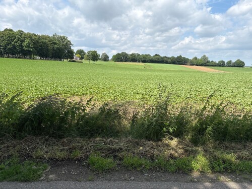 Graaf Lambertroute SC02 Schinnen