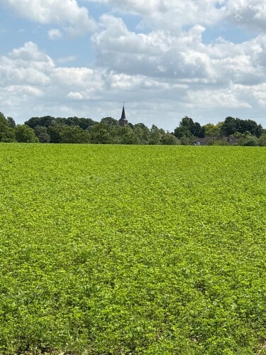 Graaf Lambertroute SC02 Schinnen