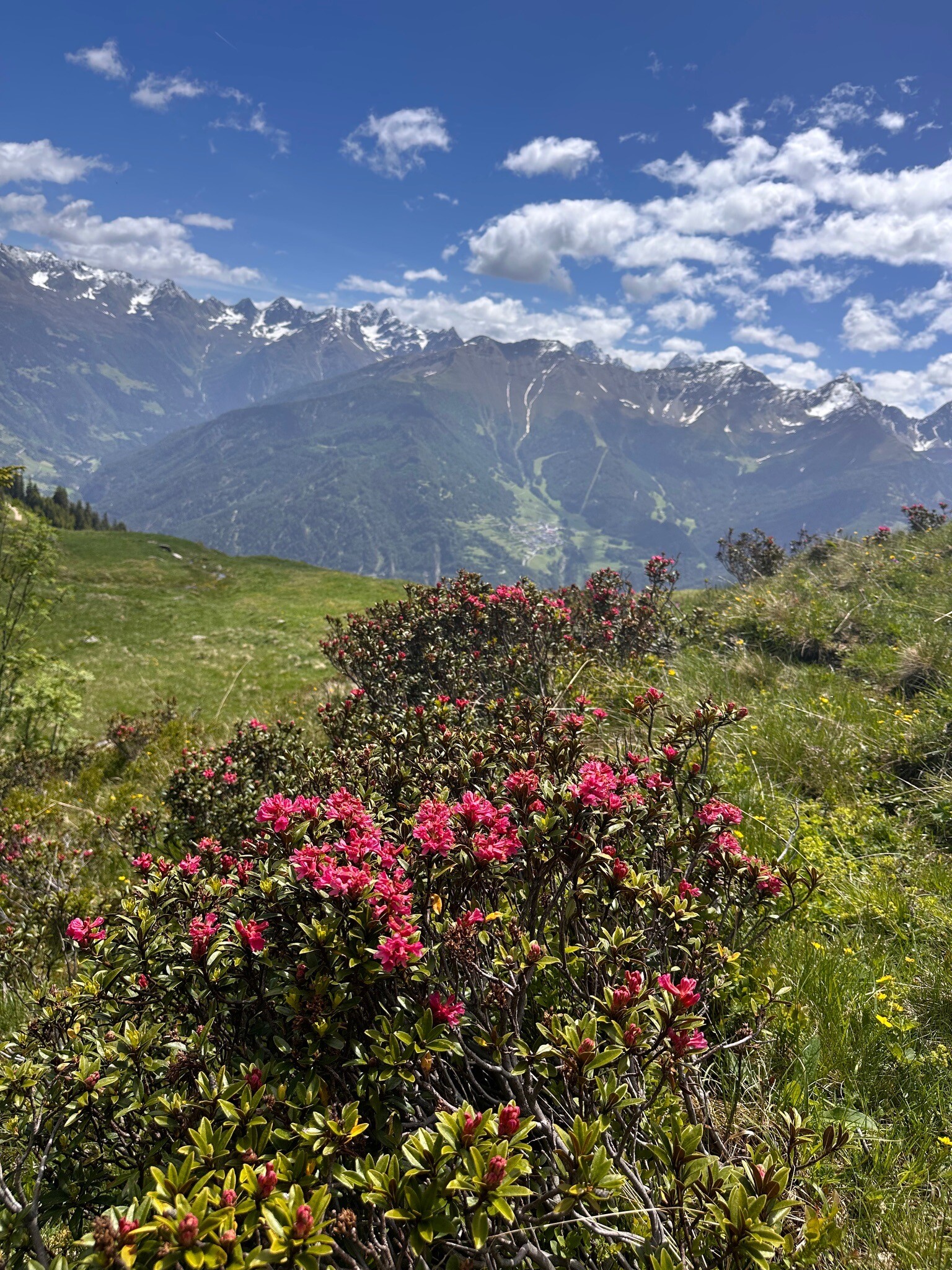 Wanderweg 15