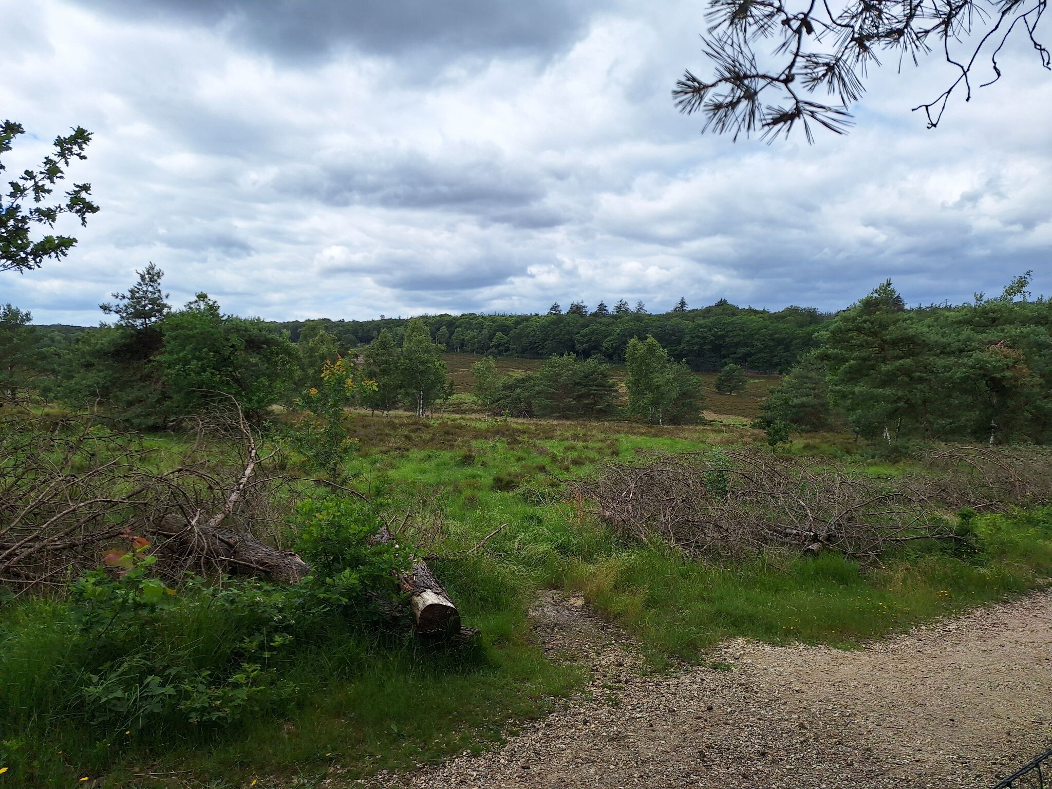 Wandelroute Bospad