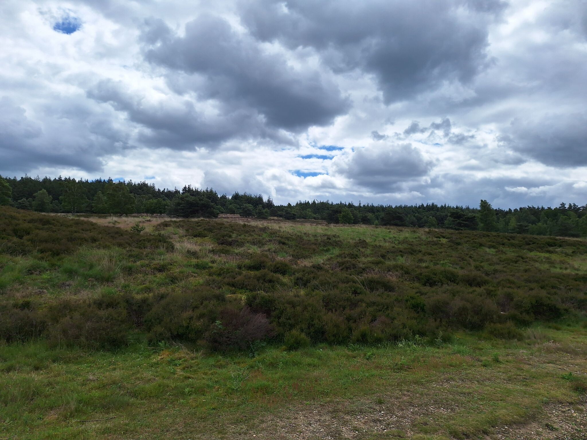 Wandelroute Bospad