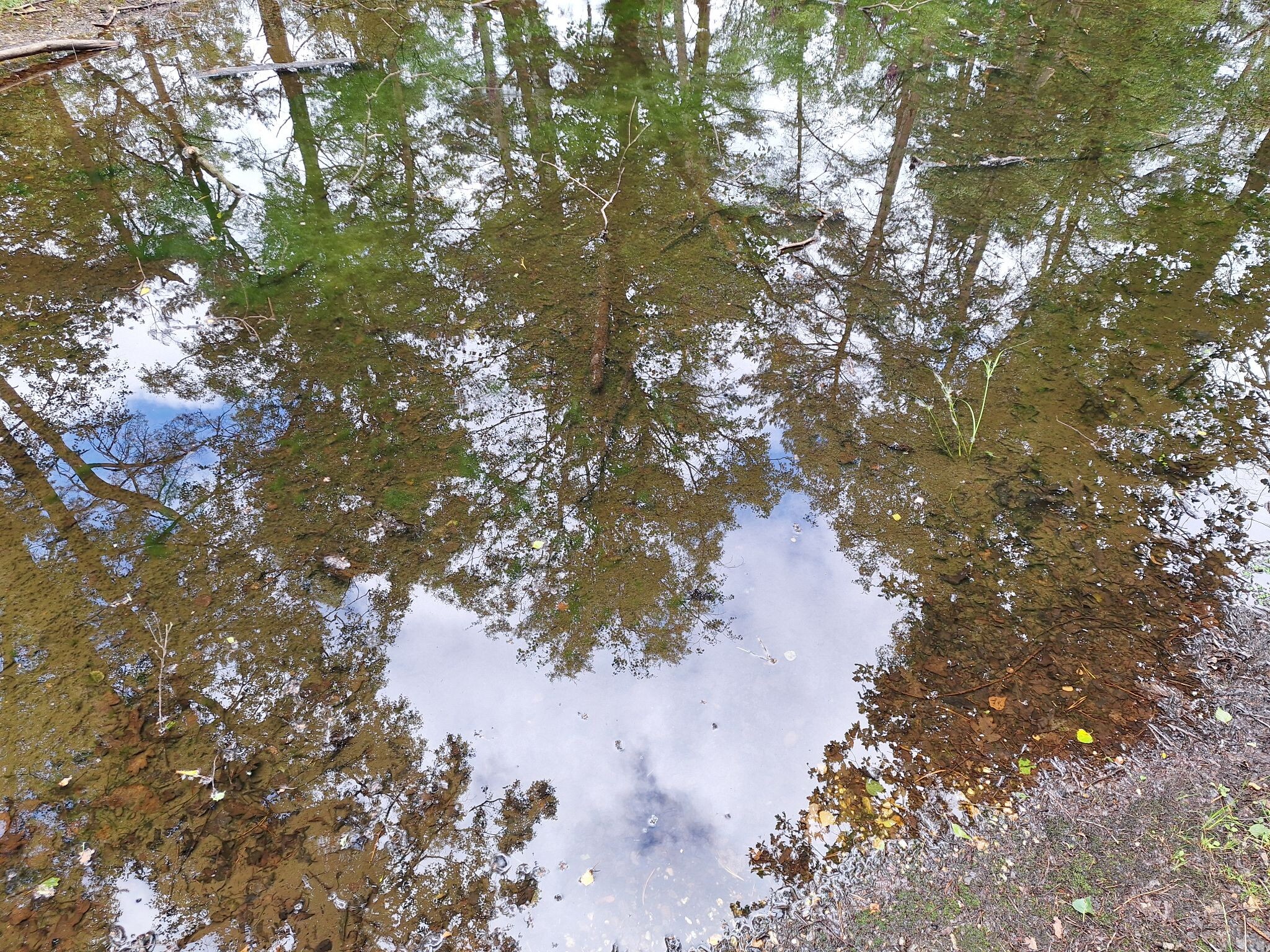 Wandelroute Bospad