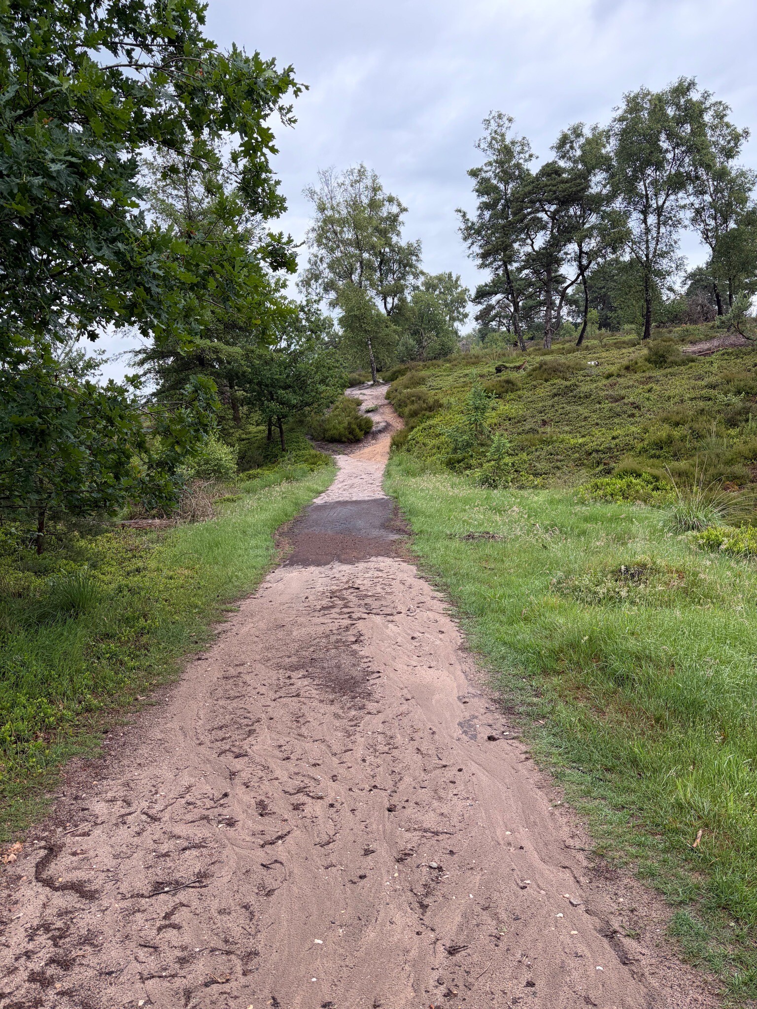 Dagrecreatieterrein - Geel
