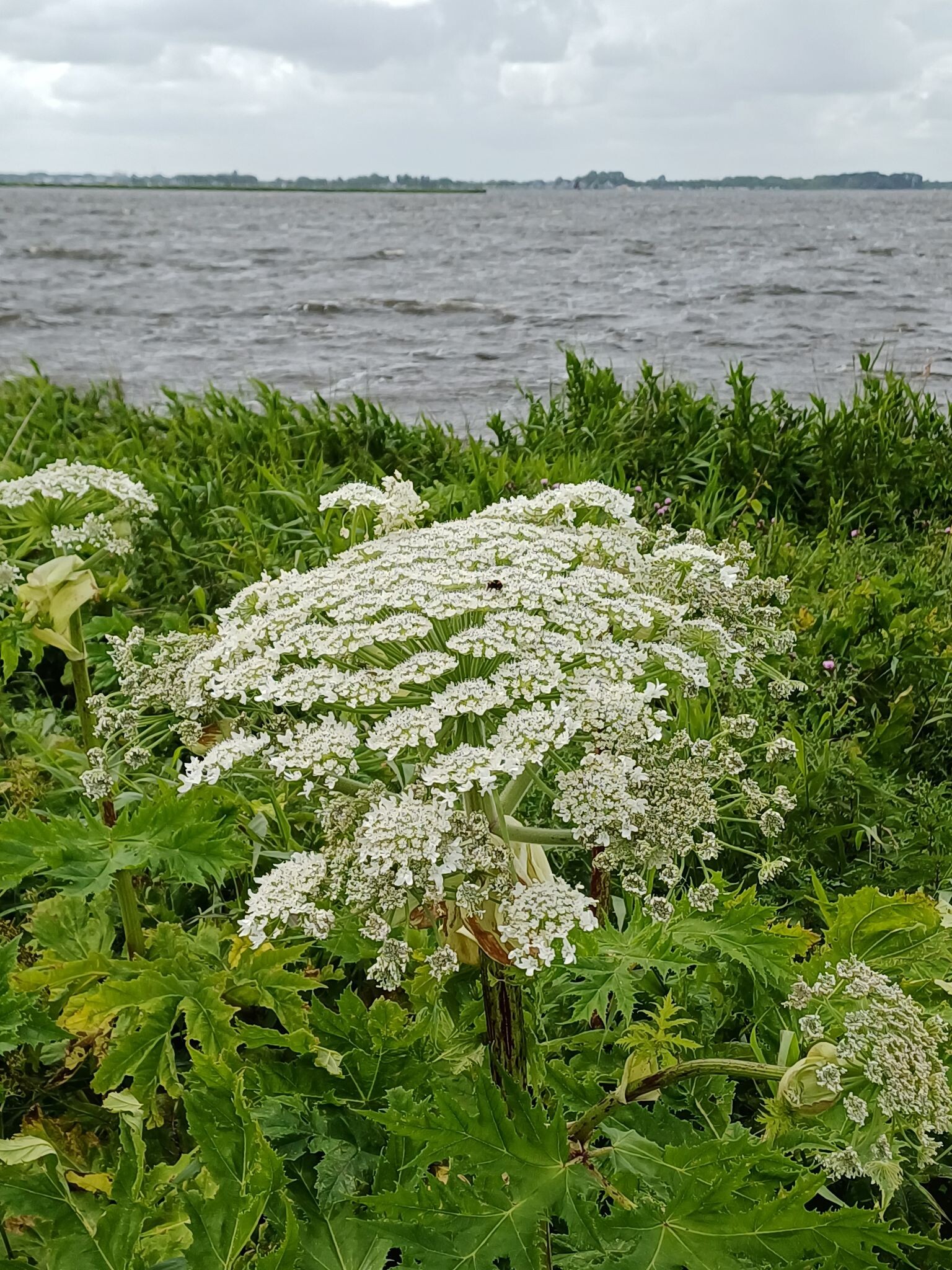 Sneekermeerzicht | Wandelroute