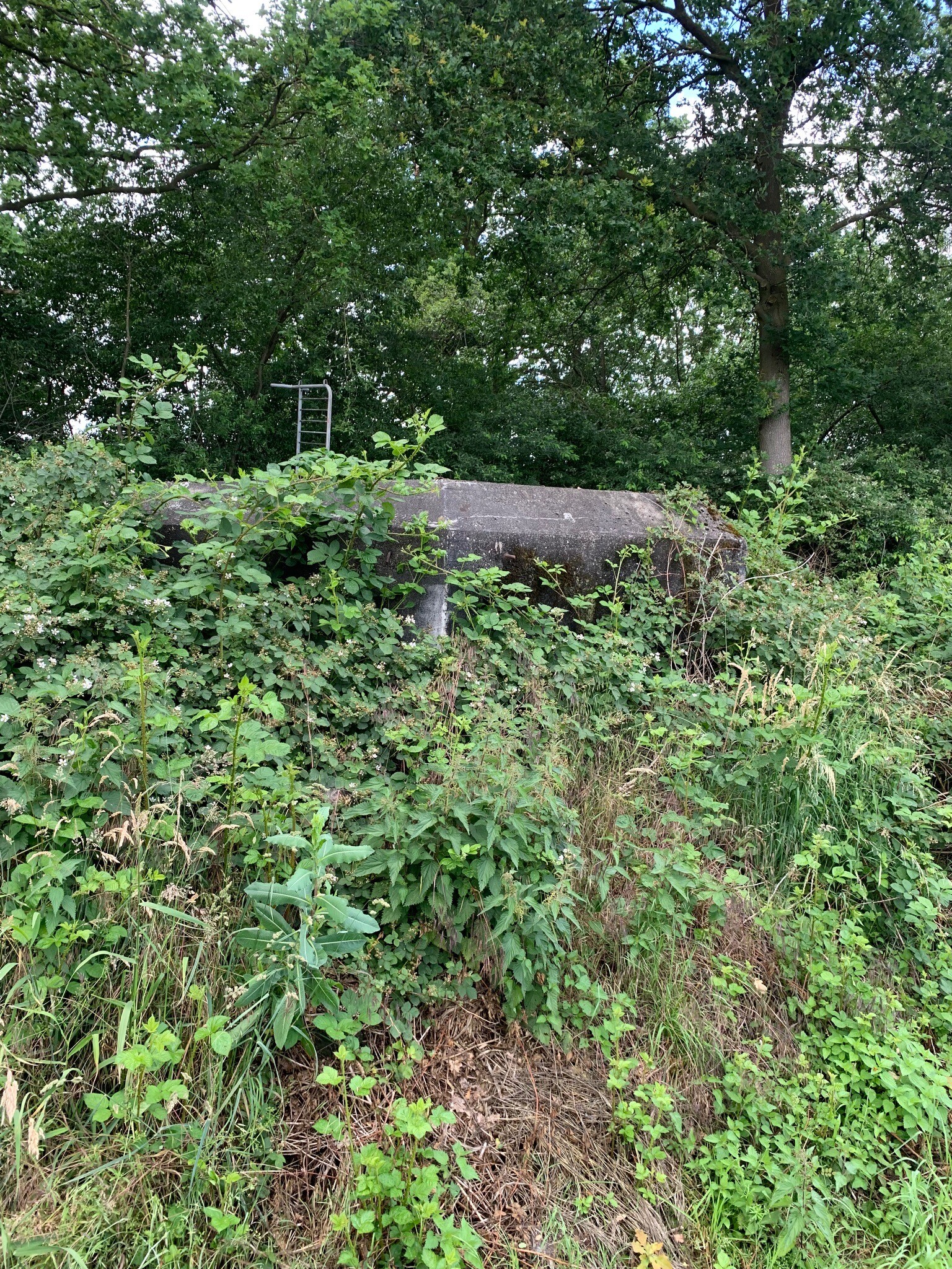 Boxmeer - Boekel · Ons Kloosterpad etappe 7