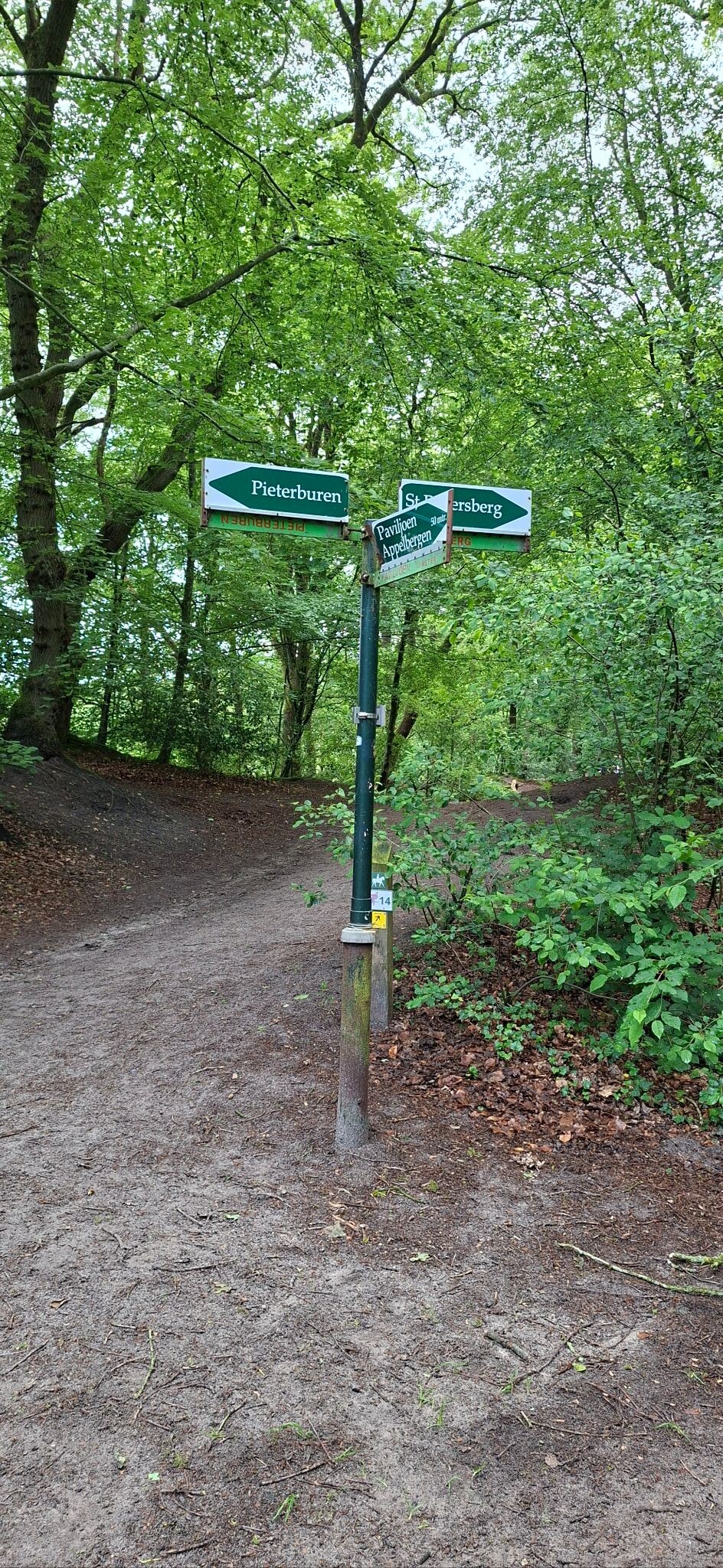 Zuidlaren - Glimmen · Hondsrugpad/Hunenweg etappe 18