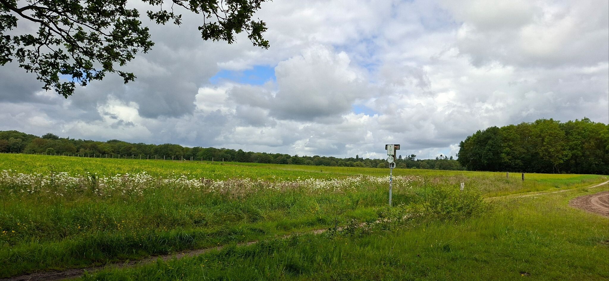 Zuidlaren - Glimmen · Hondsrugpad/Hunenweg etappe 18