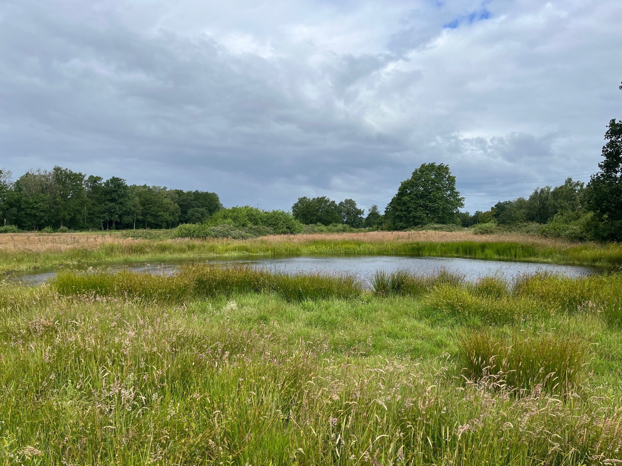 Losser, N732 - Enschede · Noaberpad etappe 13
