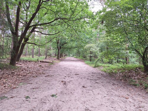 Wandelroute Miggelenberg